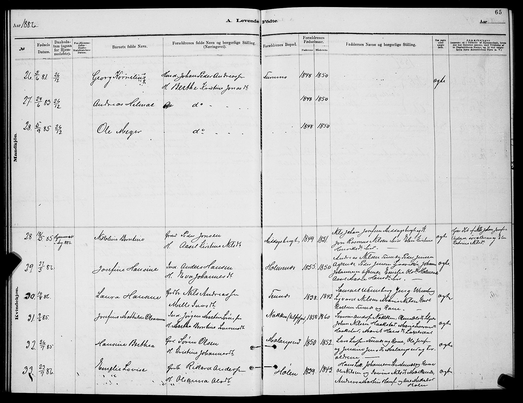 Balsfjord sokneprestembete, SATØ/S-1303/G/Ga/L0007klokker: Parish register (copy) no. 7, 1878-1889, p. 65