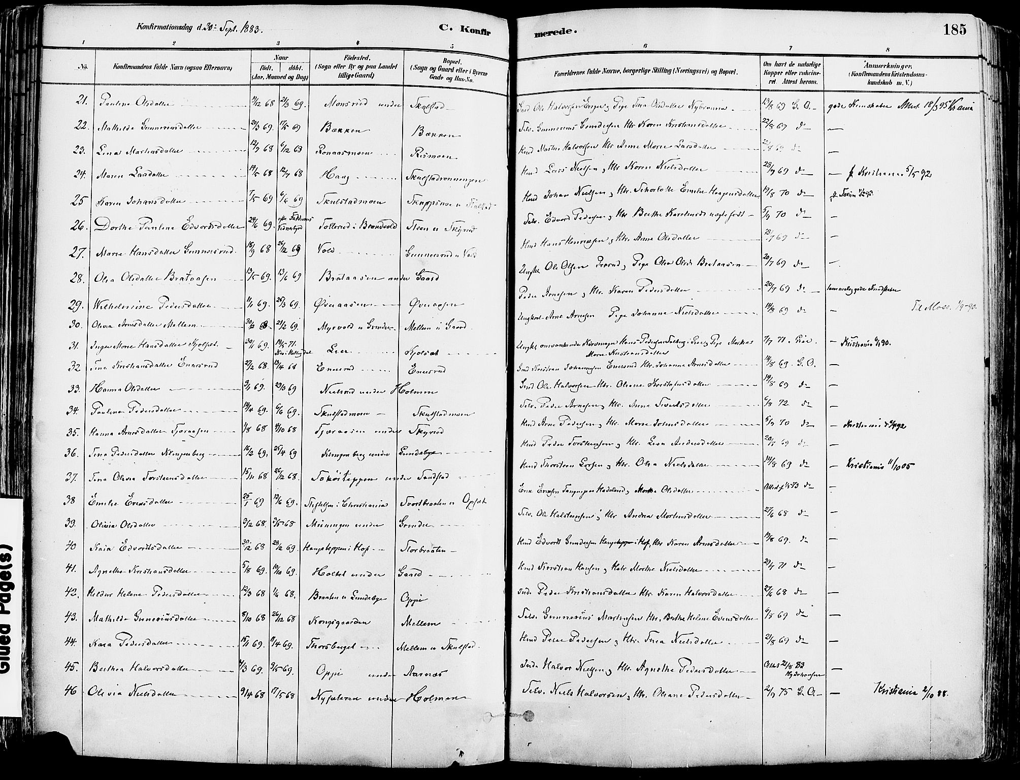 Grue prestekontor, AV/SAH-PREST-036/H/Ha/Haa/L0012: Parish register (official) no. 12, 1881-1897, p. 185