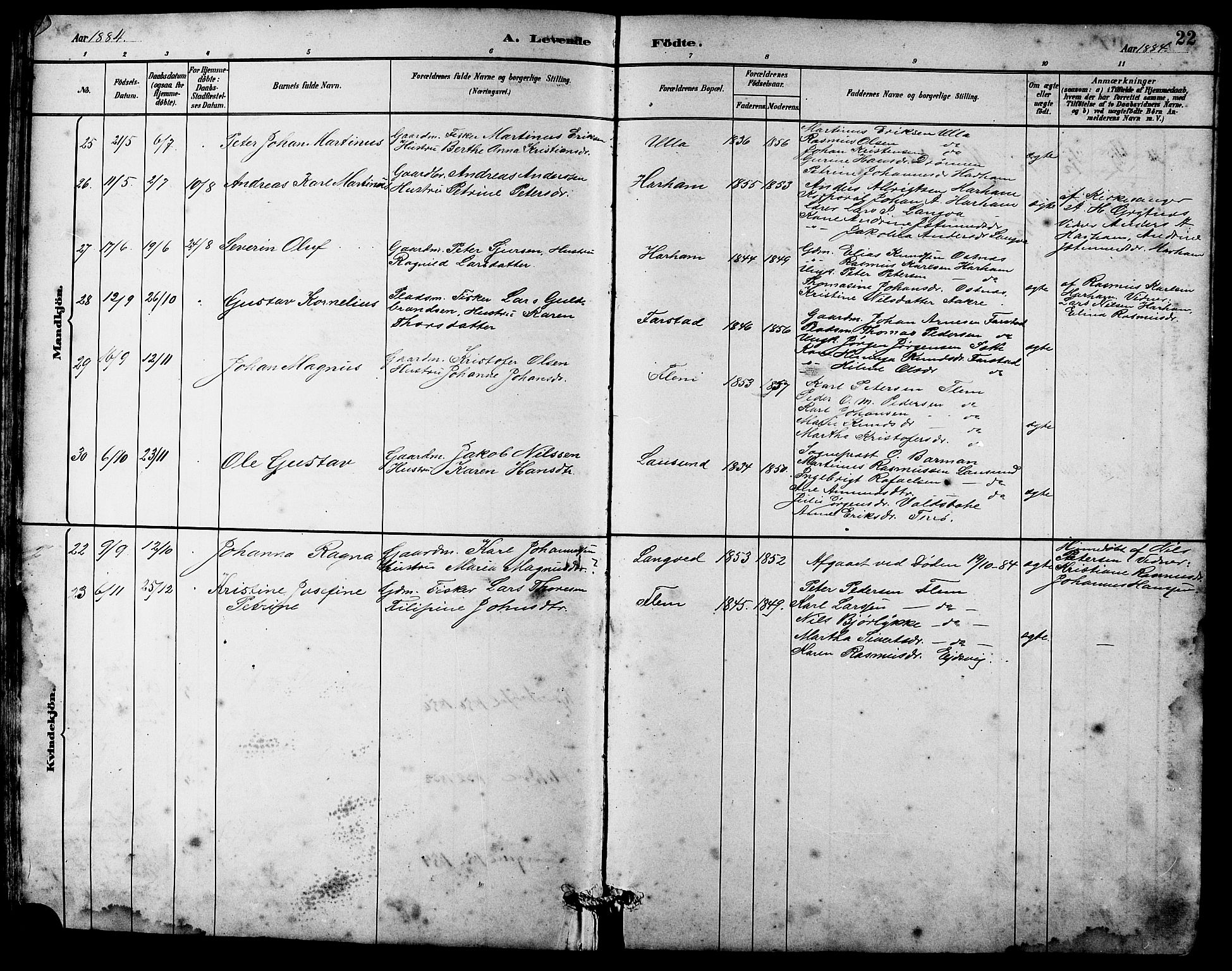 Ministerialprotokoller, klokkerbøker og fødselsregistre - Møre og Romsdal, AV/SAT-A-1454/536/L0510: Parish register (copy) no. 536C05, 1881-1898, p. 22