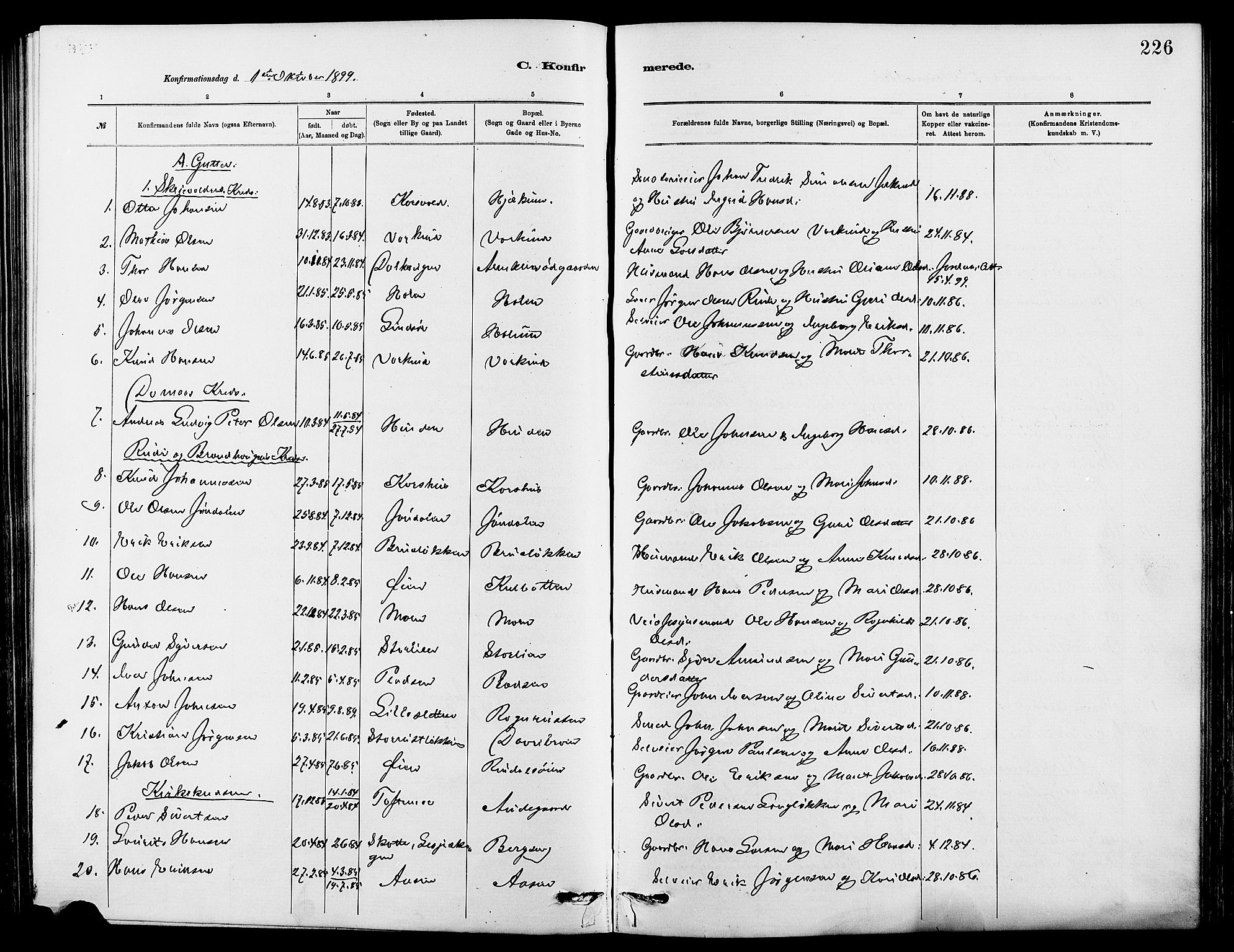 Dovre prestekontor, AV/SAH-PREST-066/H/Ha/Hab/L0002: Parish register (copy) no. 2, 1881-1907, p. 226