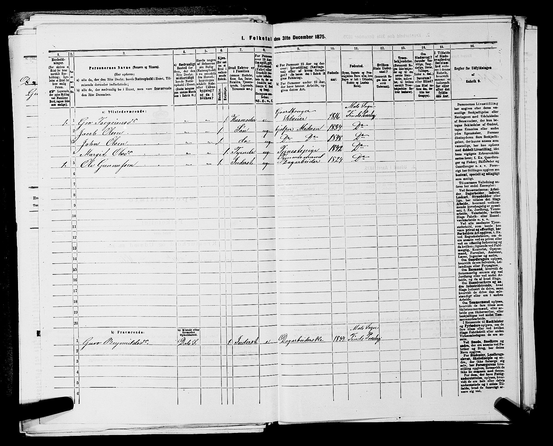 SAKO, 1875 census for 0826P Tinn, 1875, p. 820