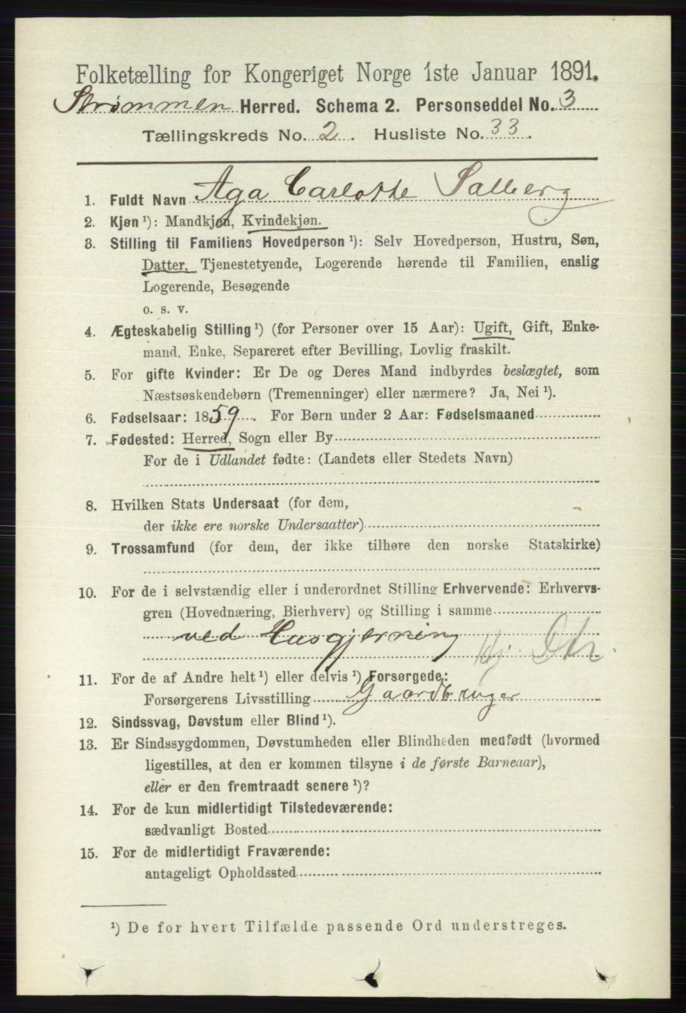 RA, 1891 census for 0711 Strømm, 1891, p. 887