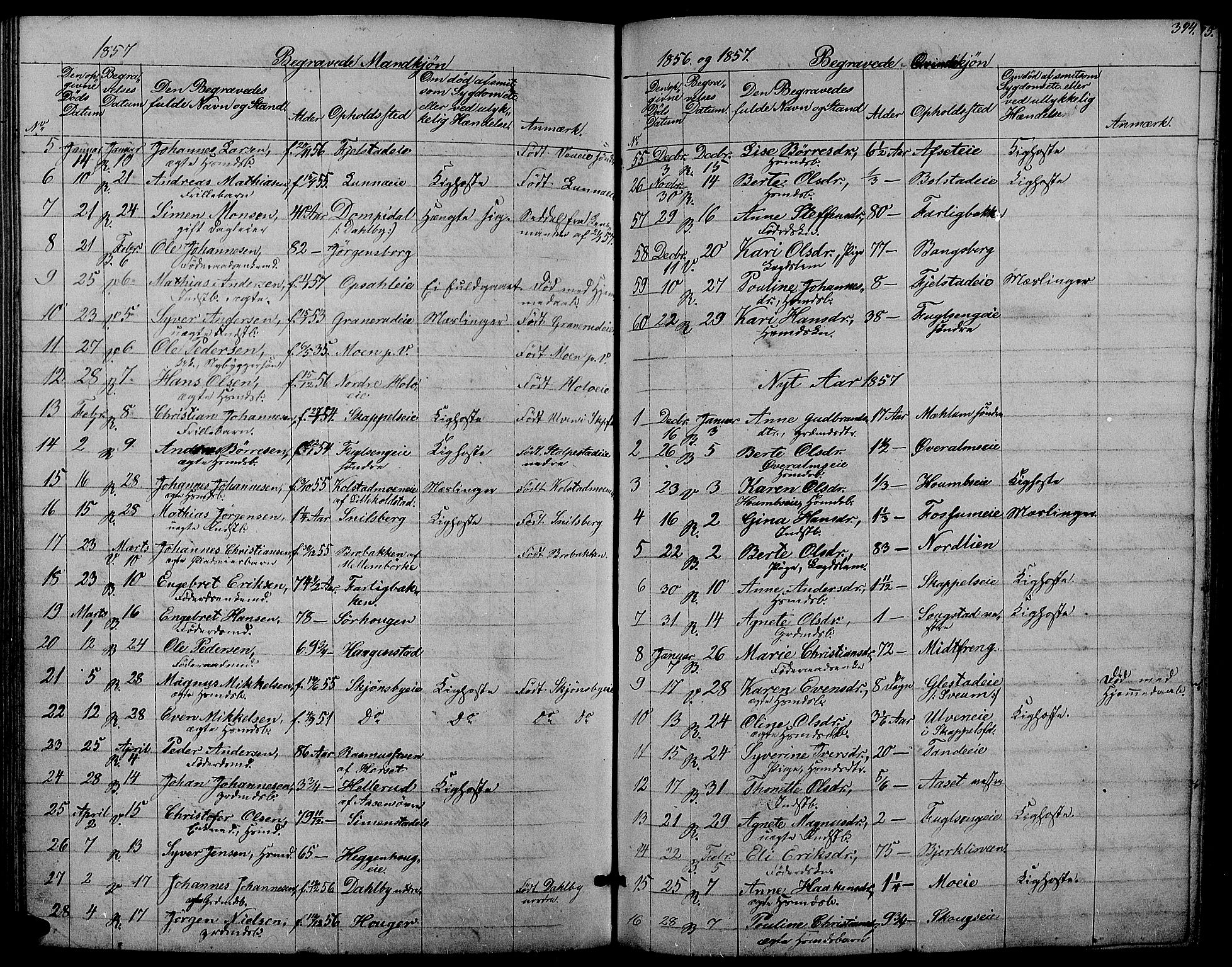 Ringsaker prestekontor, AV/SAH-PREST-014/L/La/L0006: Parish register (copy) no. 6, 1851-1860, p. 394