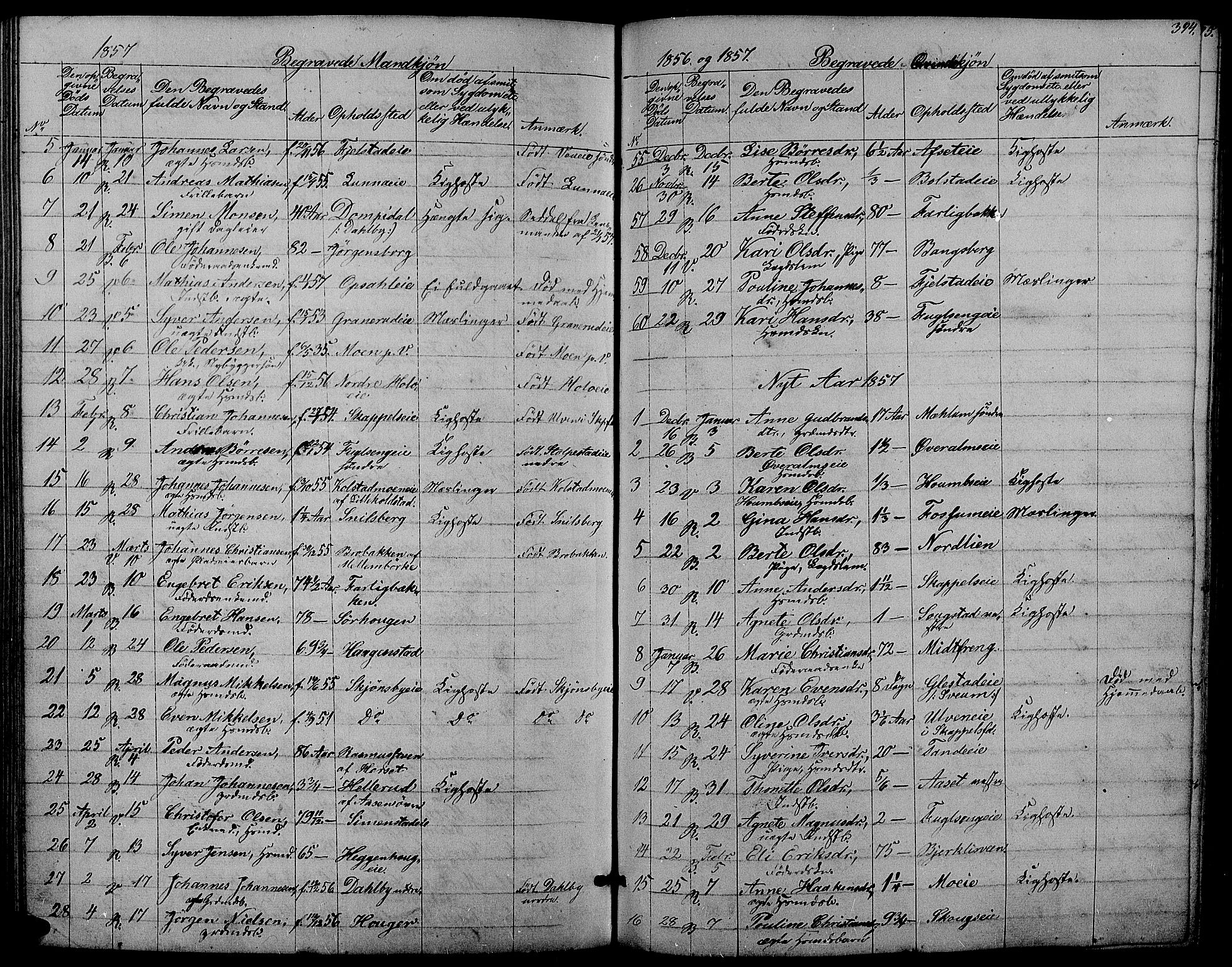 Ringsaker prestekontor, AV/SAH-PREST-014/L/La/L0006: Parish register (copy) no. 6, 1851-1860, p. 394