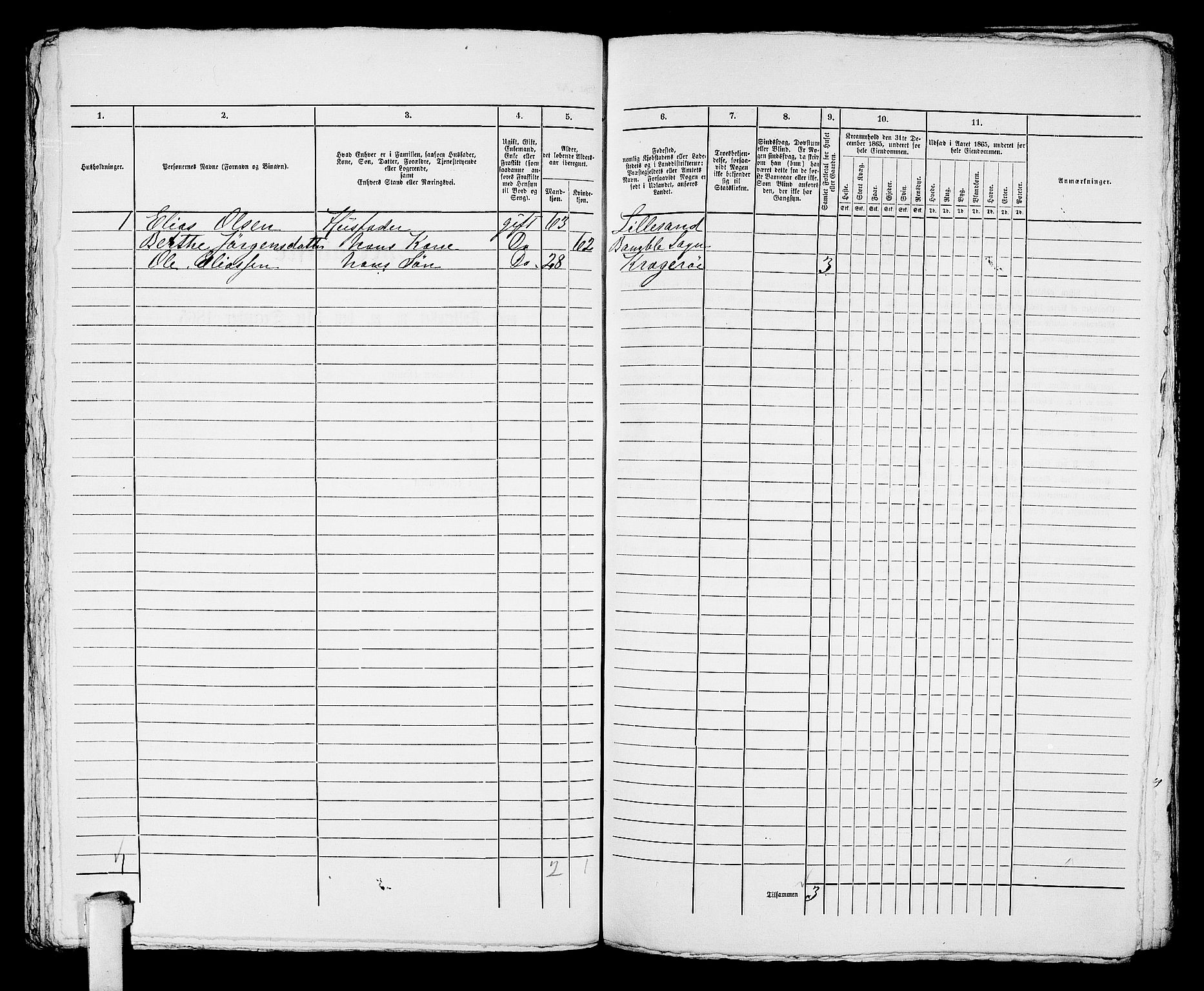 RA, 1865 census for Kragerø/Kragerø, 1865, p. 919