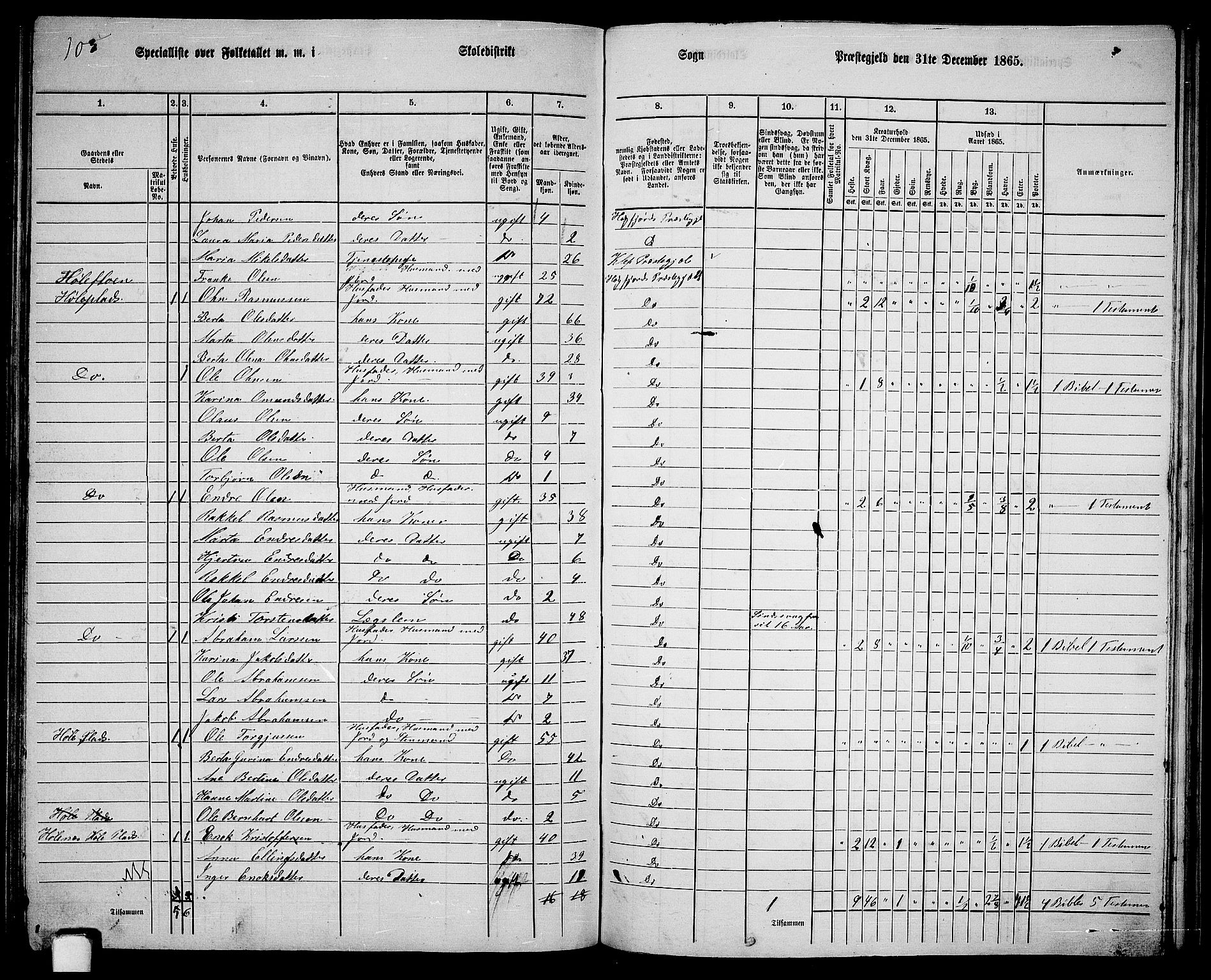 RA, 1865 census for Høgsfjord, 1865, p. 107