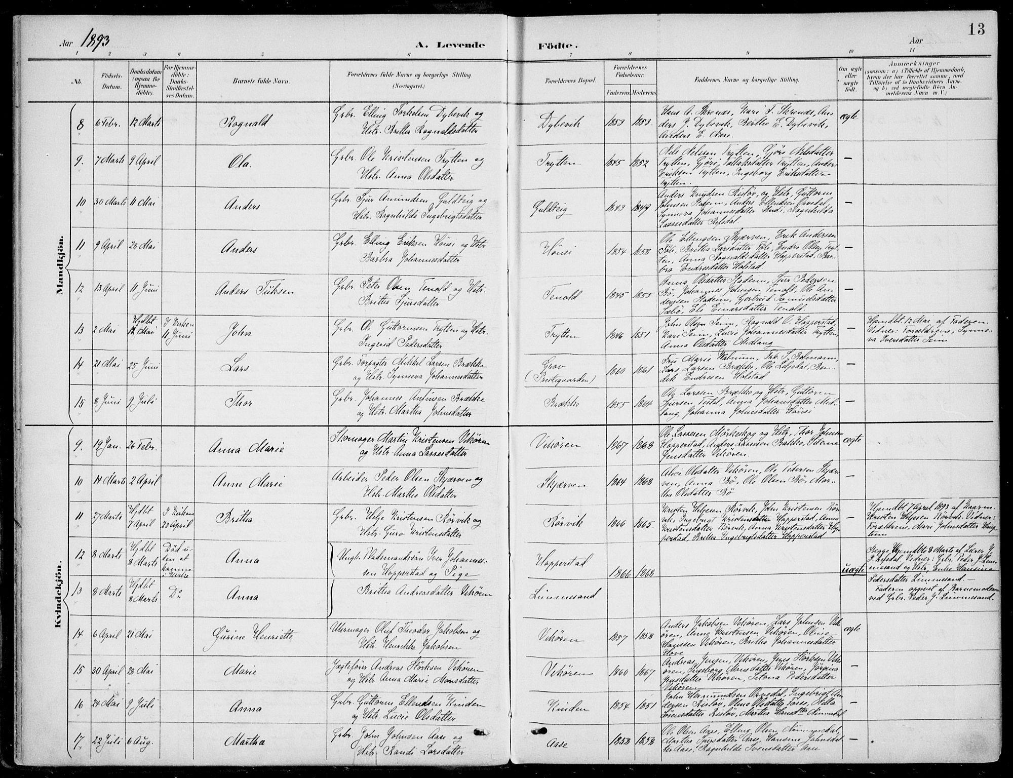 Vik sokneprestembete, AV/SAB-A-81501/H/Haa/Haab/L0002: Parish register (official) no. B  2, 1891-1907, p. 13