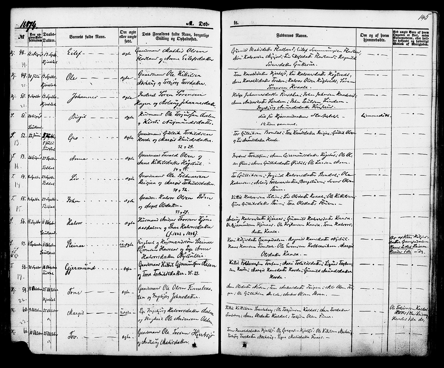 Hjartdal kirkebøker, SAKO/A-270/F/Fa/L0009: Parish register (official) no. I 9, 1860-1879, p. 145
