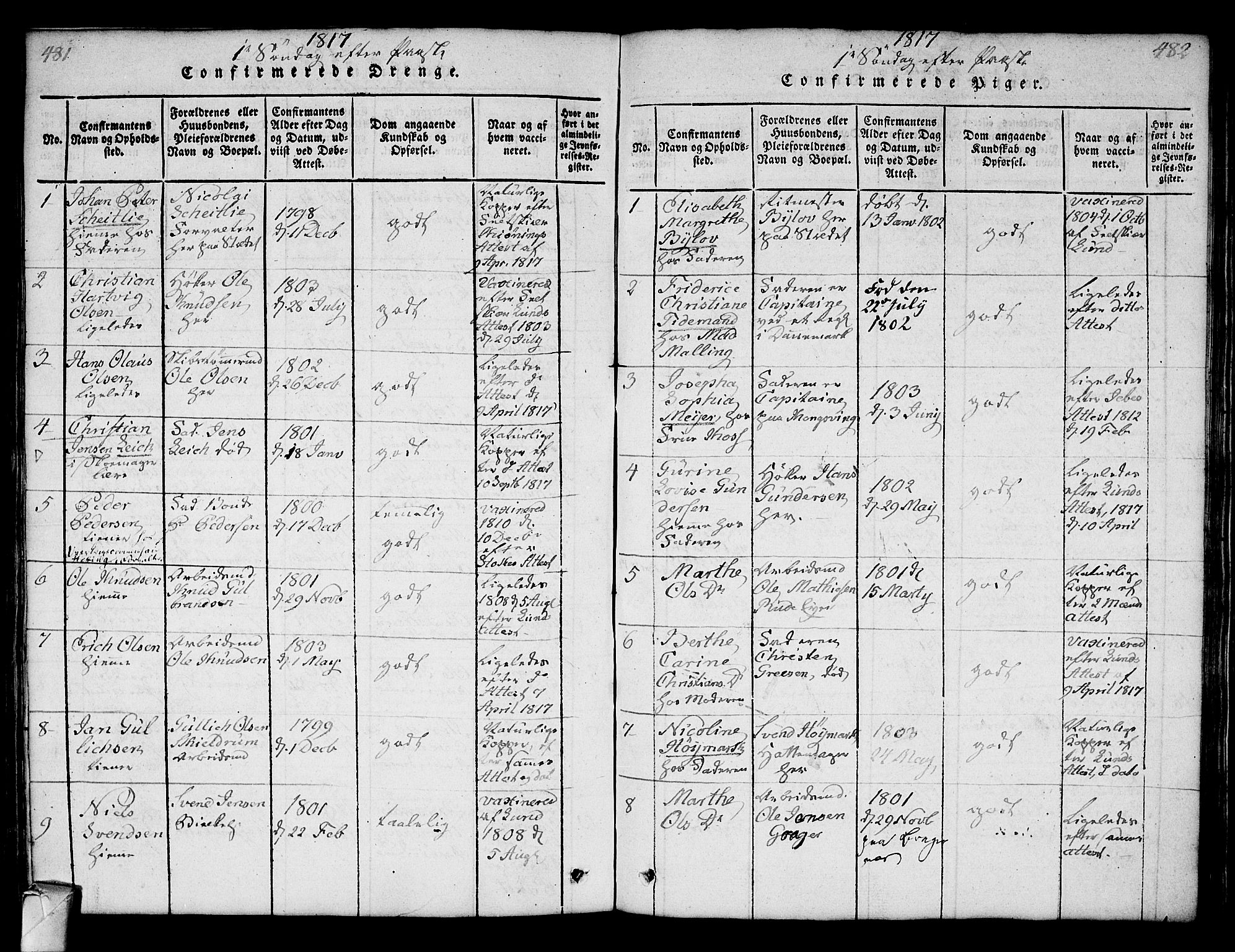 Strømsø kirkebøker, AV/SAKO-A-246/F/Fa/L0011: Parish register (official) no. I 11, 1815-1829, p. 481-482