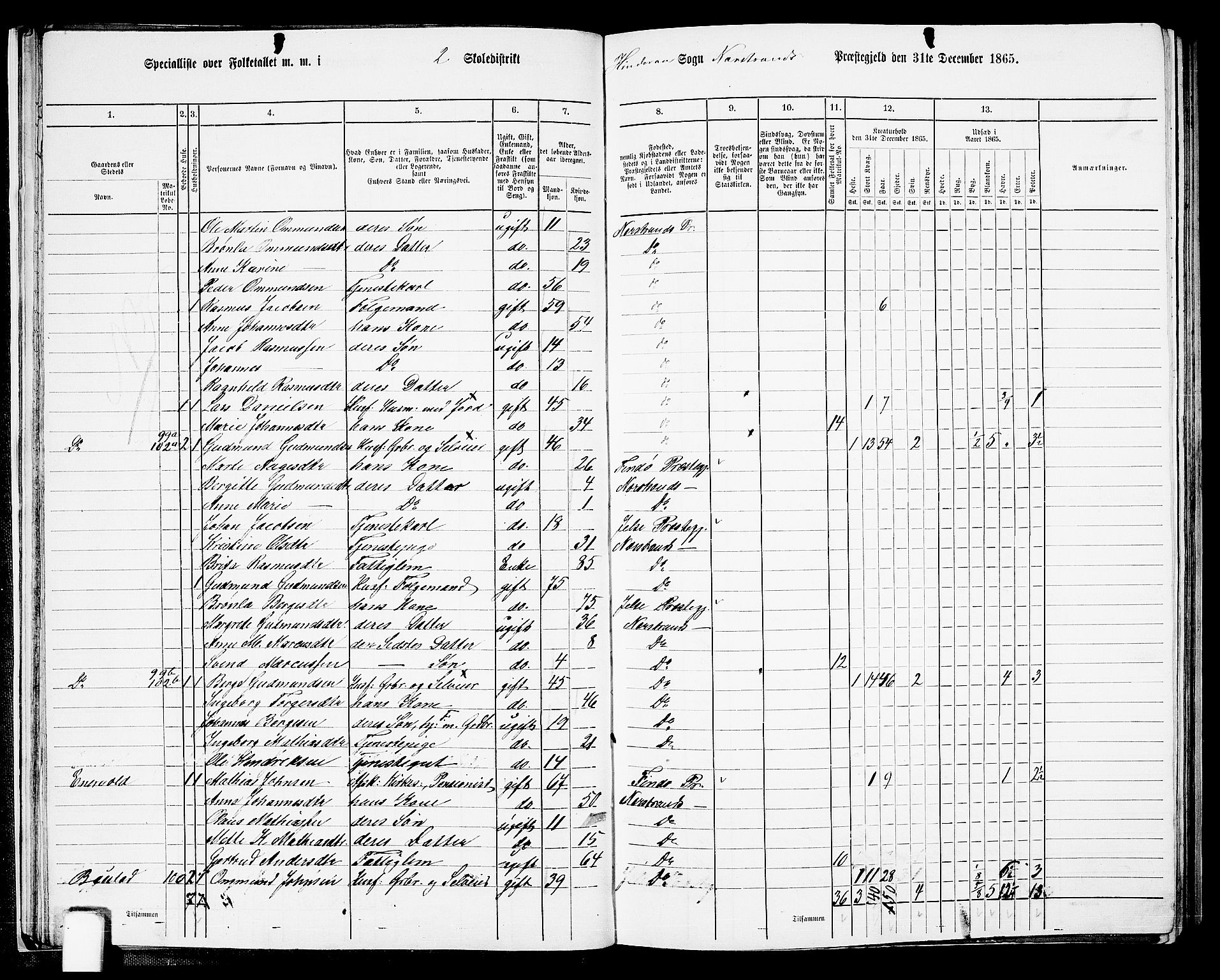RA, 1865 census for Nedstrand, 1865, p. 31
