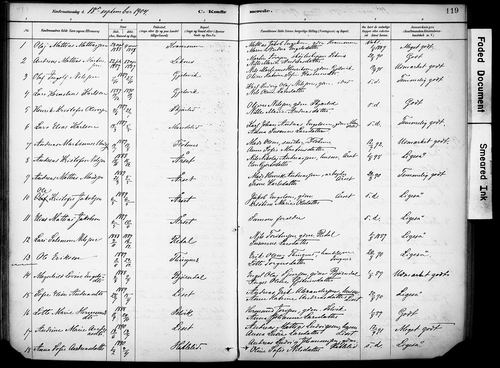 Førde sokneprestembete, AV/SAB-A-79901/H/Haa/Haae/L0001: Parish register (official) no. E 1, 1881-1911, p. 119