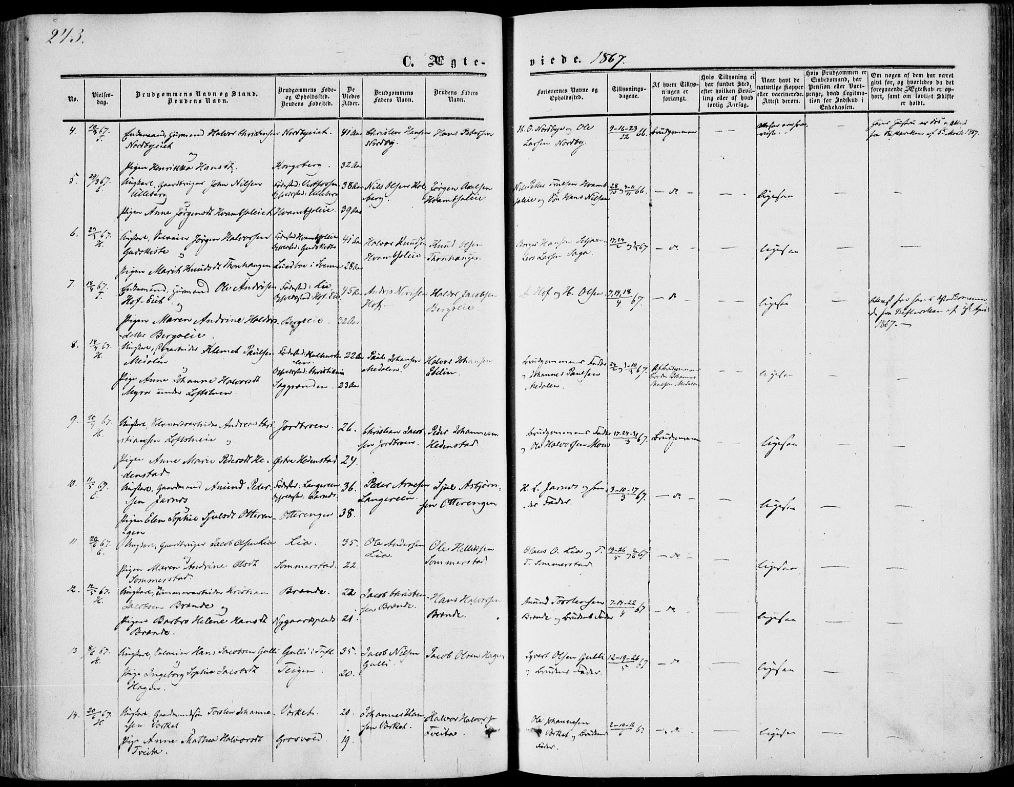 Sandsvær kirkebøker, AV/SAKO-A-244/F/Fa/L0006: Parish register (official) no. I 6, 1857-1868, p. 243