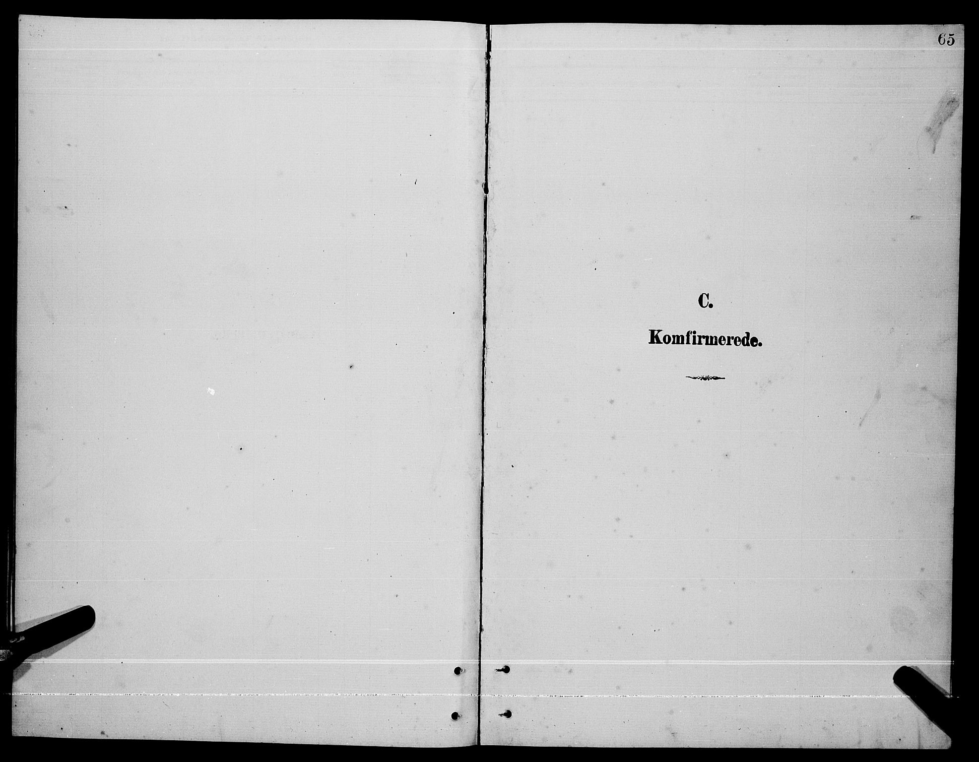 Ministerialprotokoller, klokkerbøker og fødselsregistre - Nordland, SAT/A-1459/865/L0931: Parish register (copy) no. 865C03, 1885-1901, p. 65