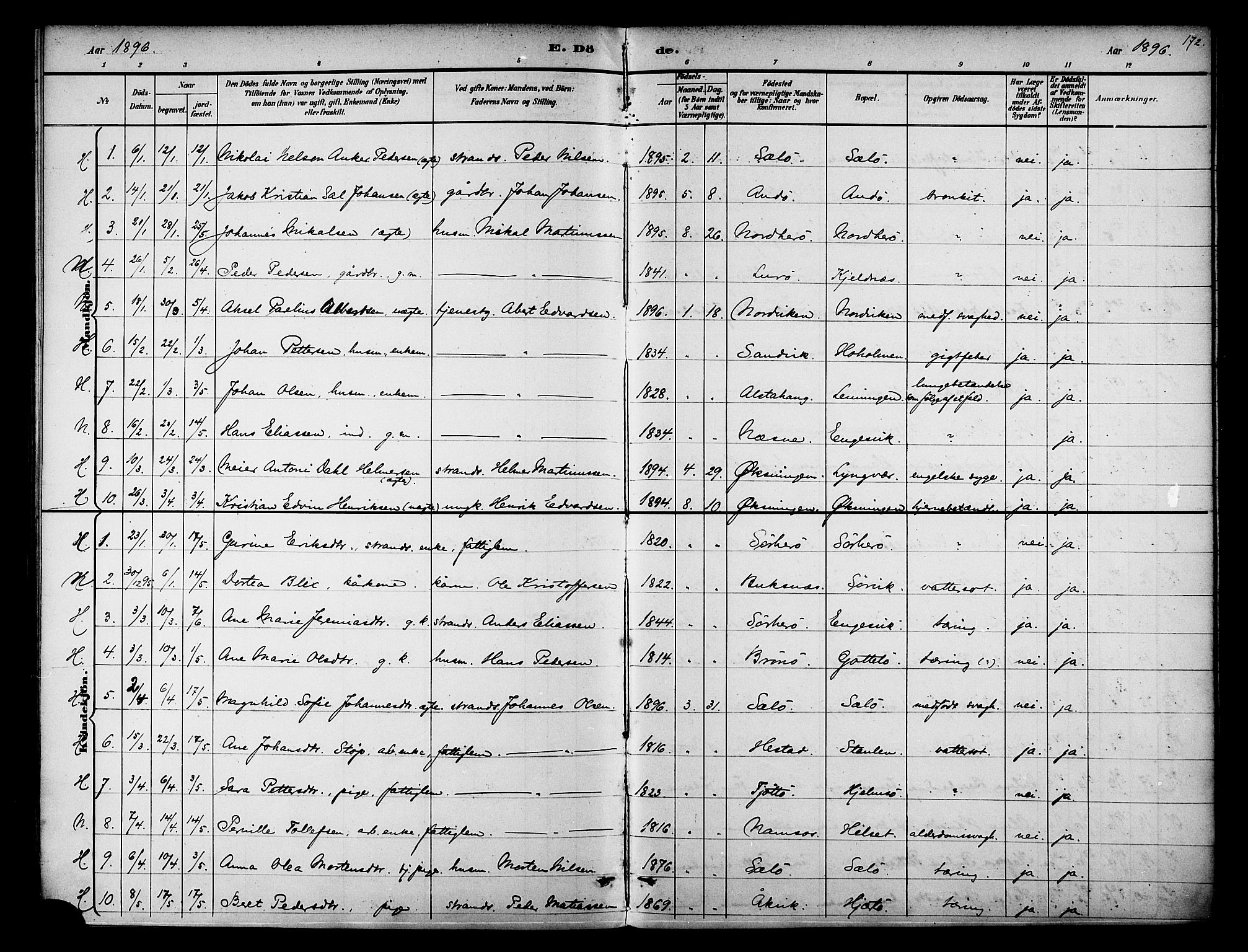 Ministerialprotokoller, klokkerbøker og fødselsregistre - Nordland, SAT/A-1459/834/L0508: Parish register (official) no. 834A06, 1892-1901, p. 172