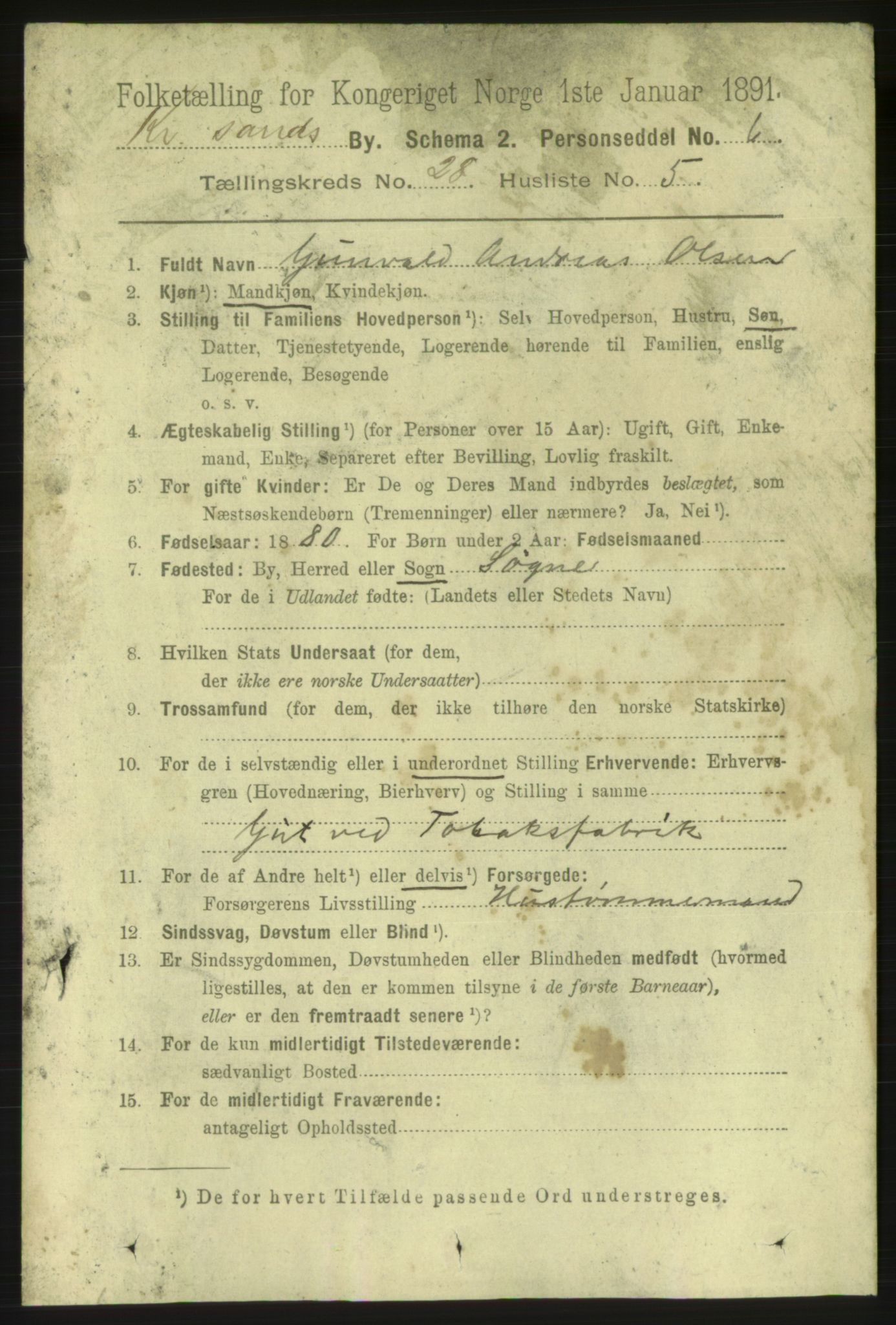 RA, 1891 census for 1001 Kristiansand, 1891, p. 9536