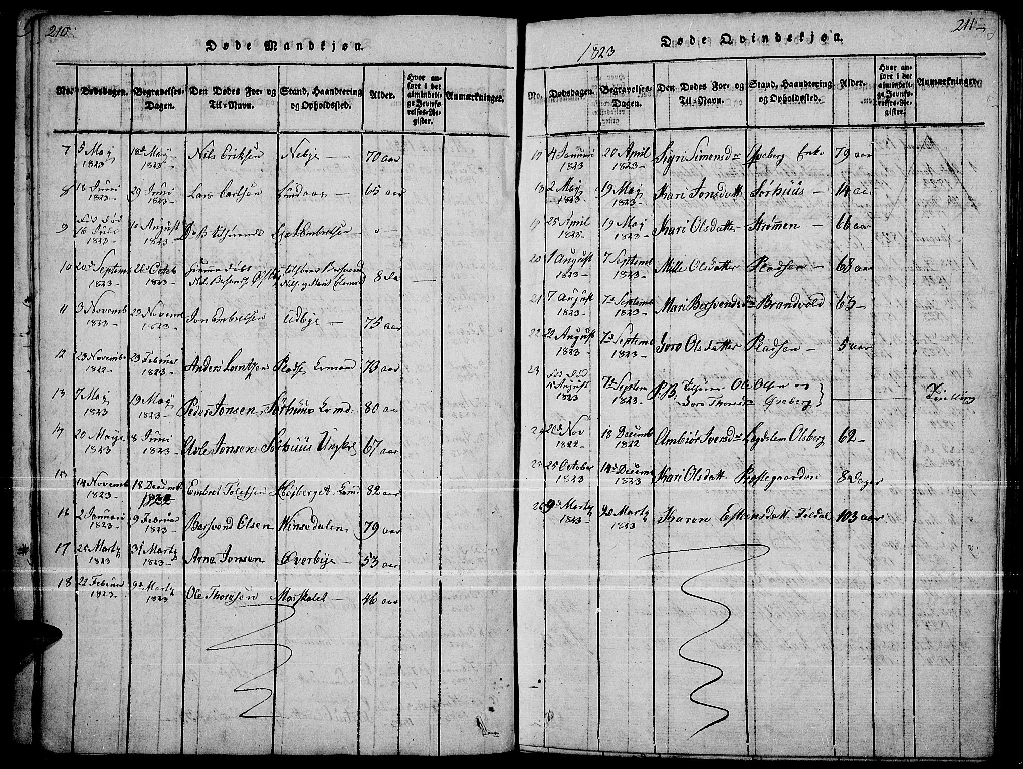 Tynset prestekontor, SAH/PREST-058/H/Ha/Haa/L0018: Parish register (official) no. 18, 1815-1829, p. 210-211