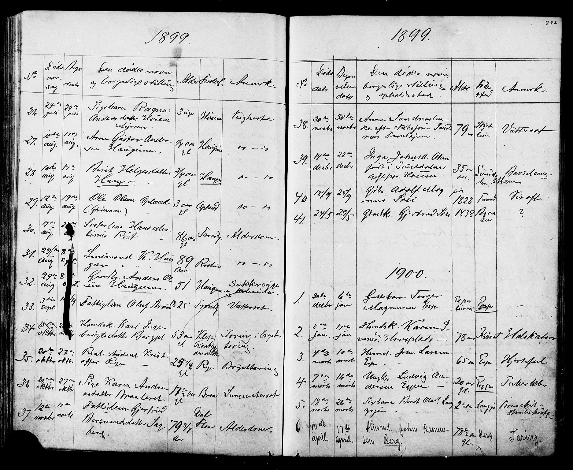 Ministerialprotokoller, klokkerbøker og fødselsregistre - Sør-Trøndelag, SAT/A-1456/612/L0387: Parish register (copy) no. 612C03, 1874-1908, p. 242