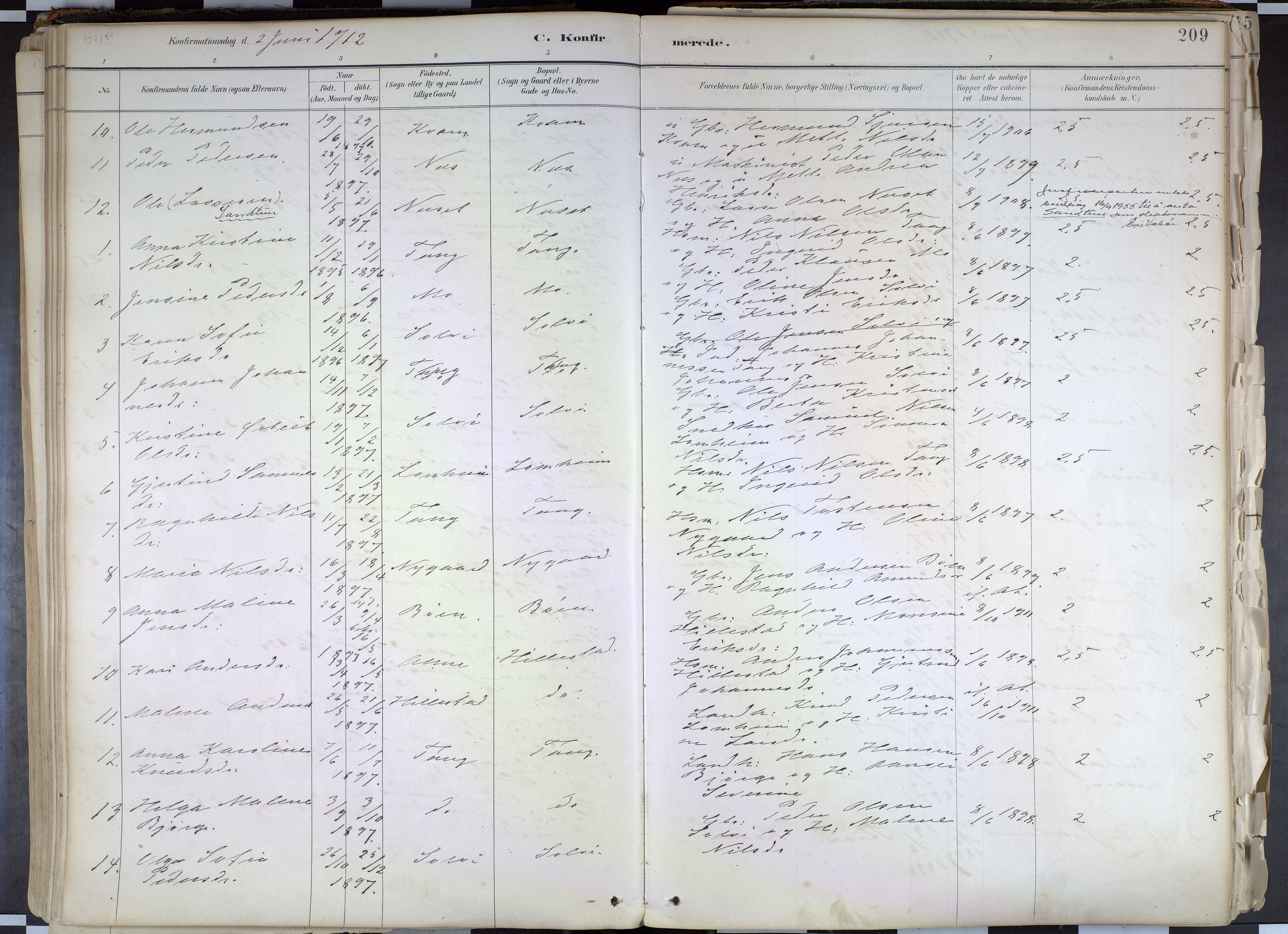 Hafslo sokneprestembete, AV/SAB-A-80301/H/Haa/Haab/L0001: Parish register (official) no. B 1, 1886-1945, p. 209