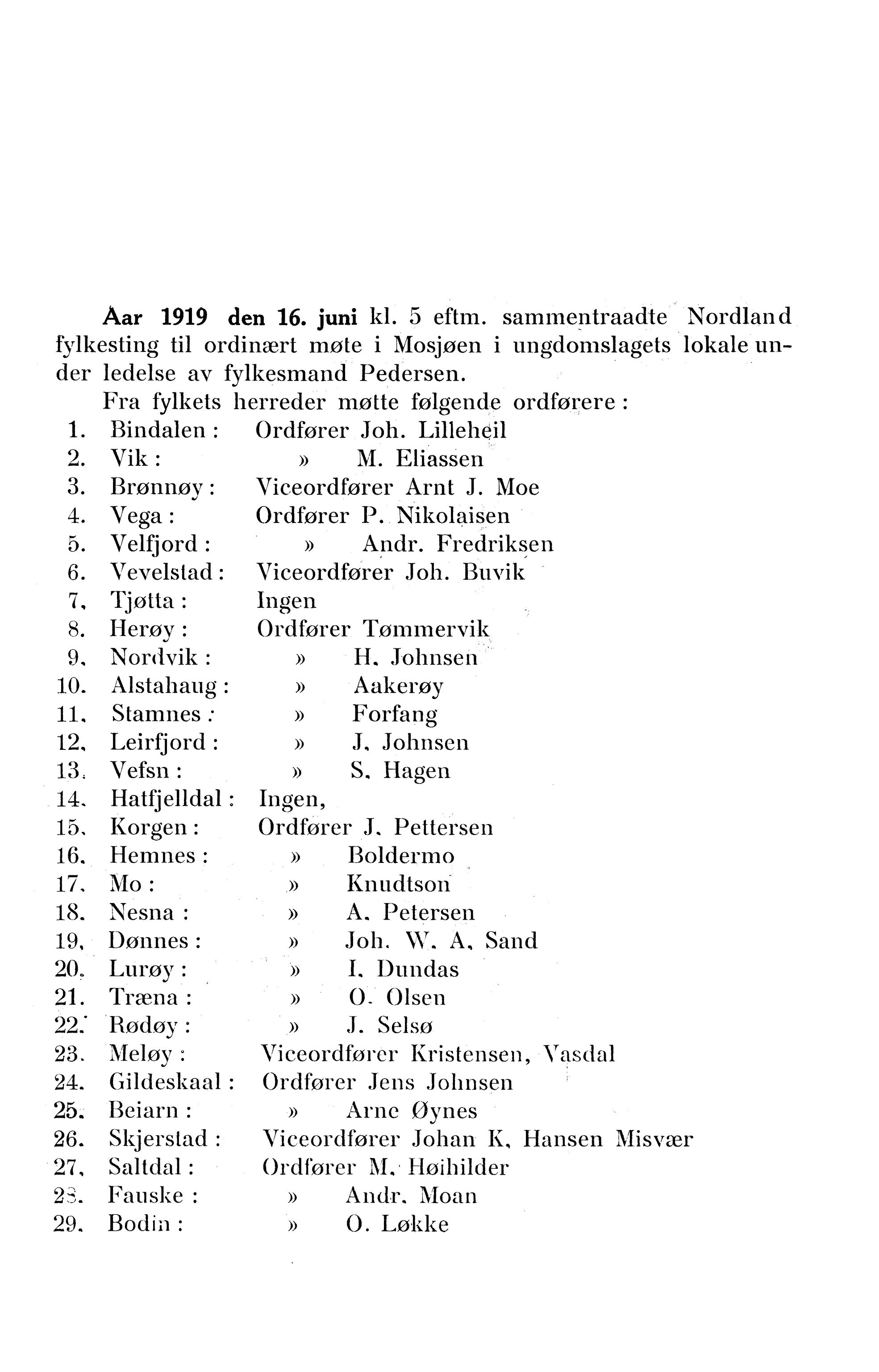 Nordland Fylkeskommune. Fylkestinget, AIN/NFK-17/176/A/Ac/L0042: Fylkestingsforhandlinger 1919, 1919