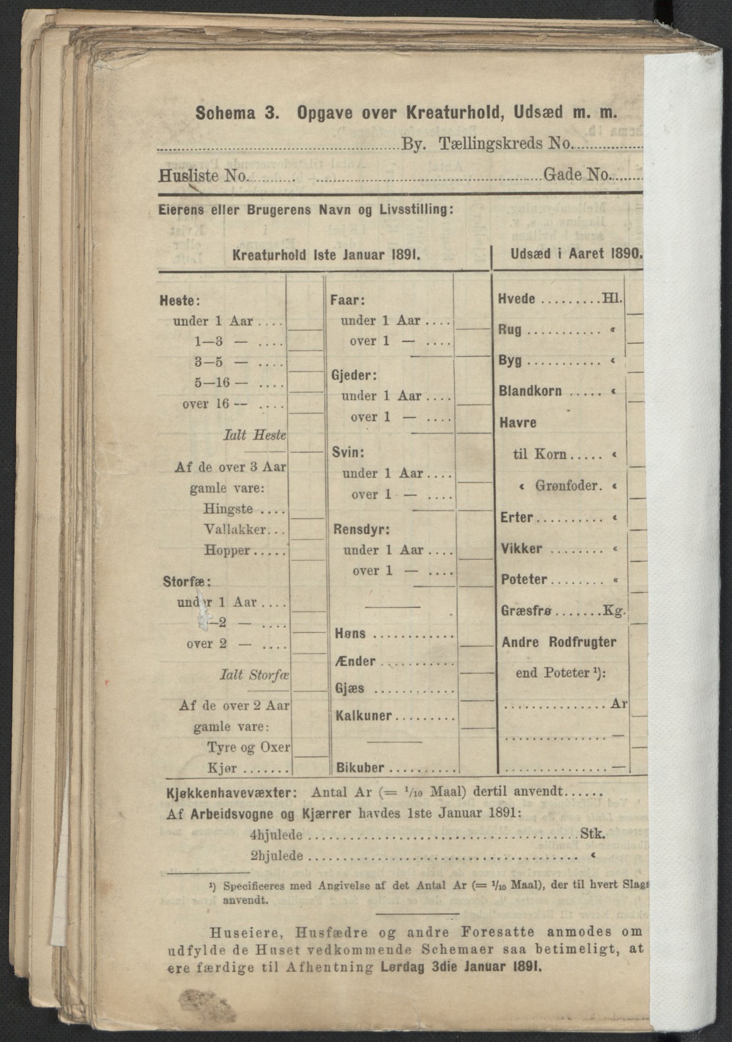 RA, 1891 Census for 1301 Bergen, 1891, p. 3635