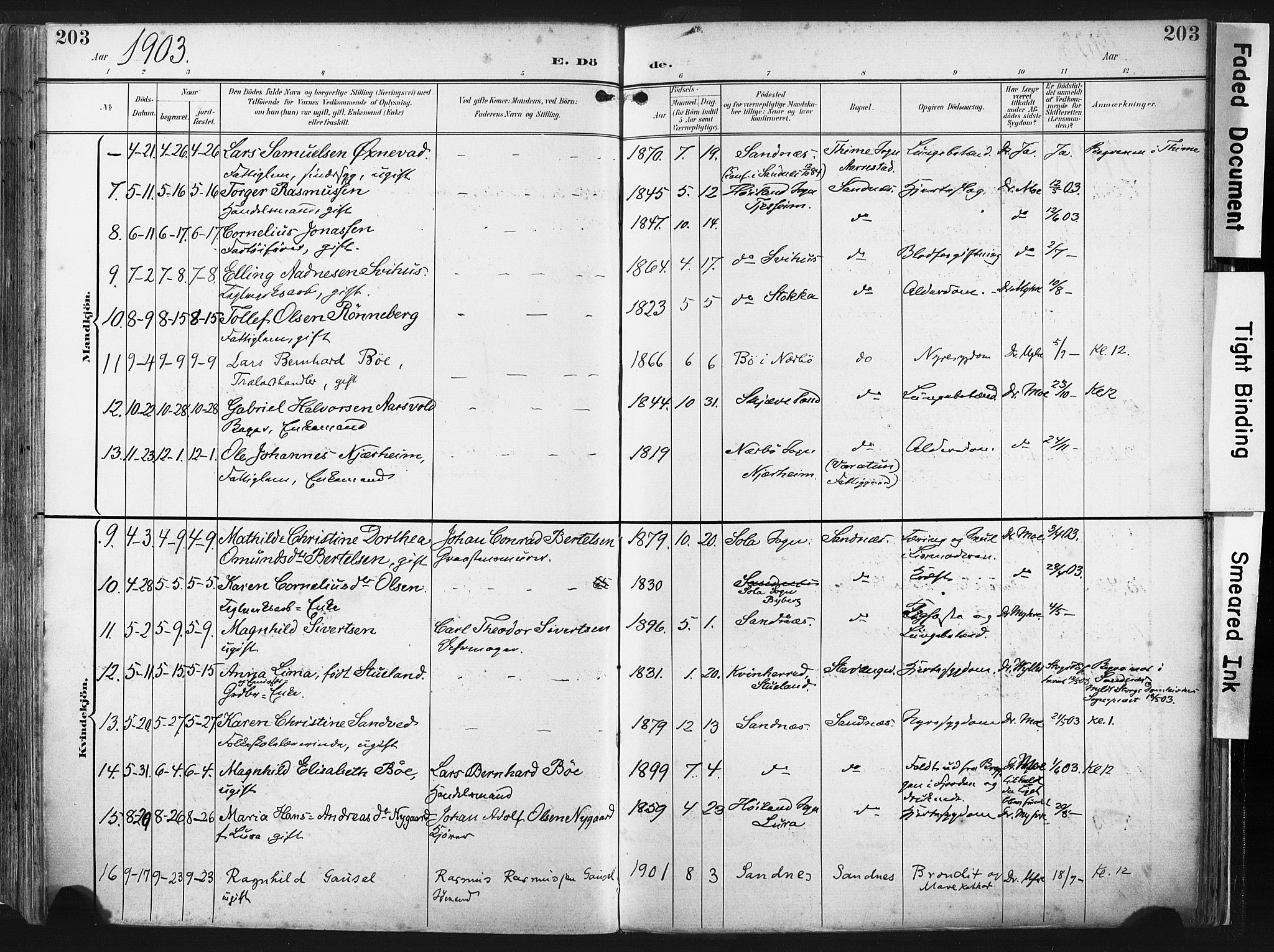 Høyland sokneprestkontor, AV/SAST-A-101799/001/30BA/L0016: Parish register (official) no. A 16, 1899-1911, p. 203