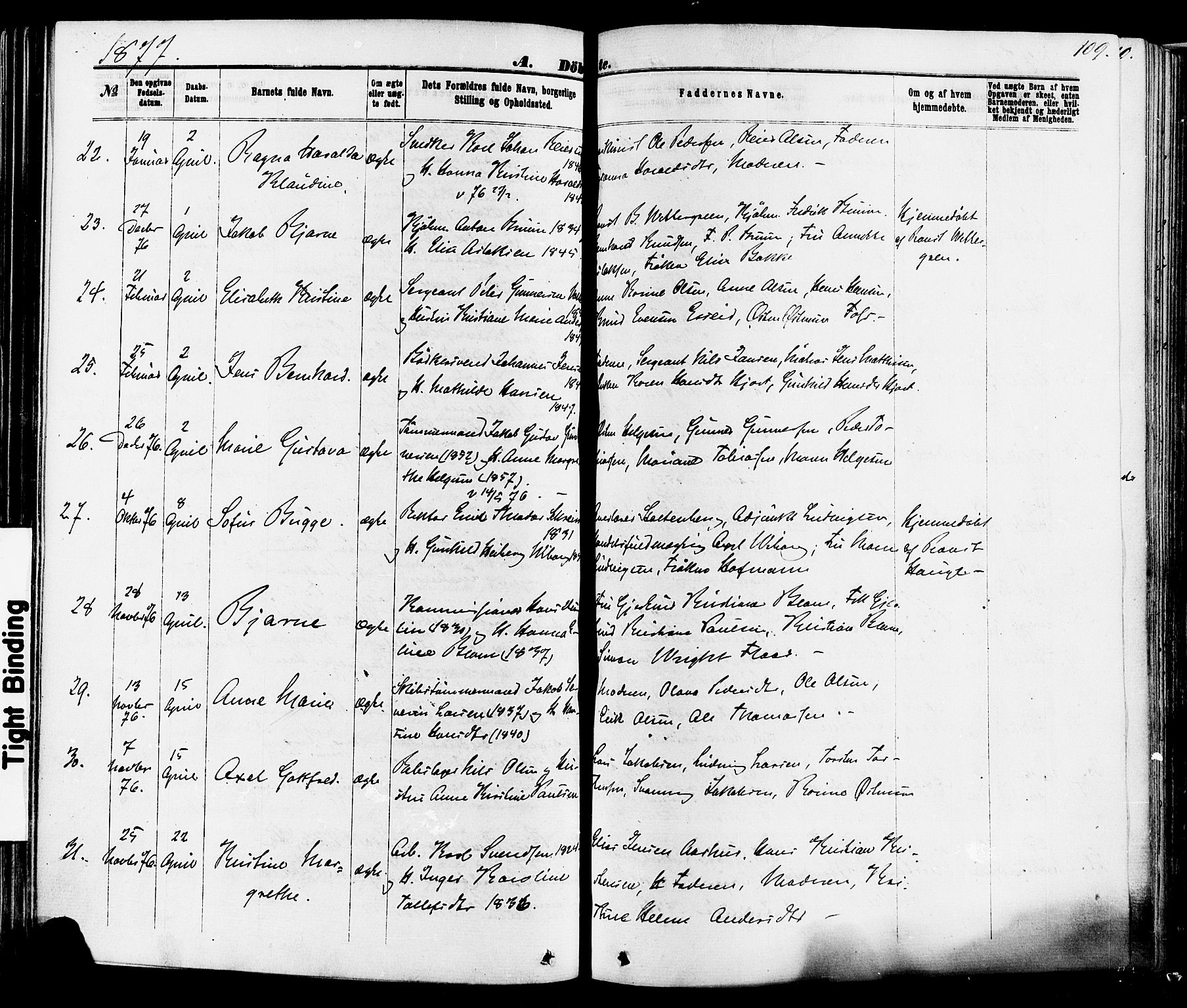 Skien kirkebøker, AV/SAKO-A-302/F/Fa/L0008: Parish register (official) no. 8, 1866-1877, p. 109