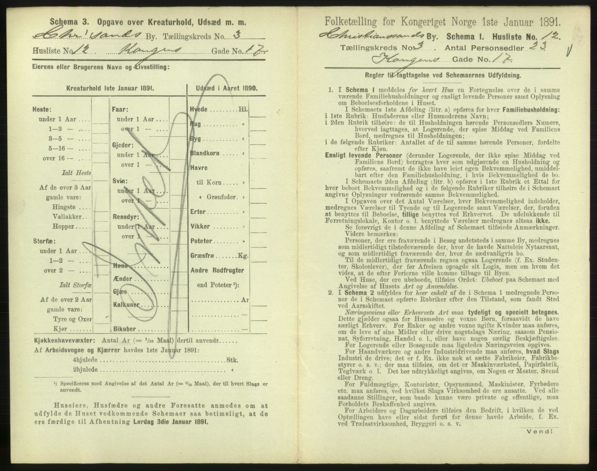 RA, 1891 census for 1001 Kristiansand, 1891, p. 316