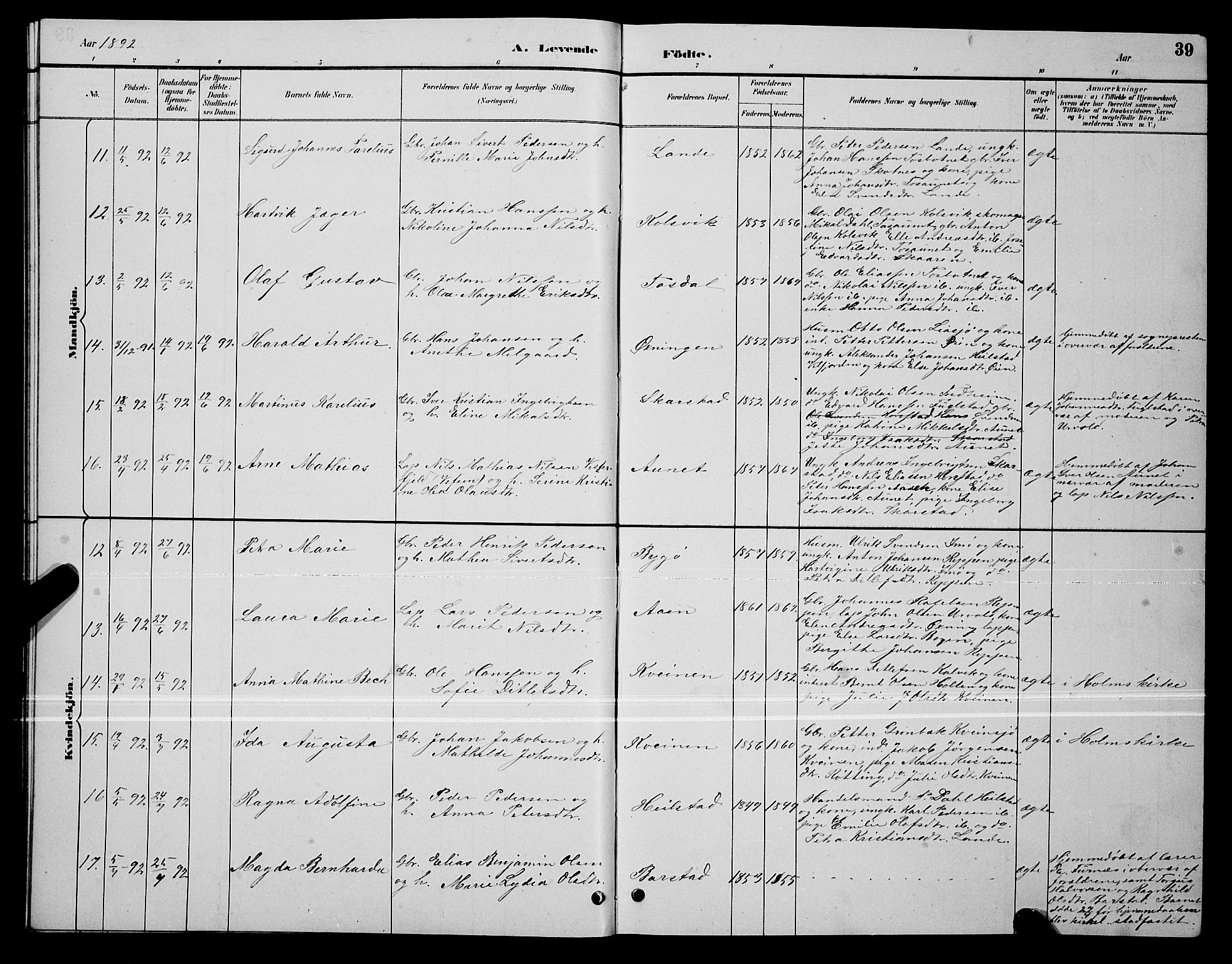 Ministerialprotokoller, klokkerbøker og fødselsregistre - Nordland, SAT/A-1459/810/L0160: Parish register (copy) no. 810C03, 1884-1896, p. 39