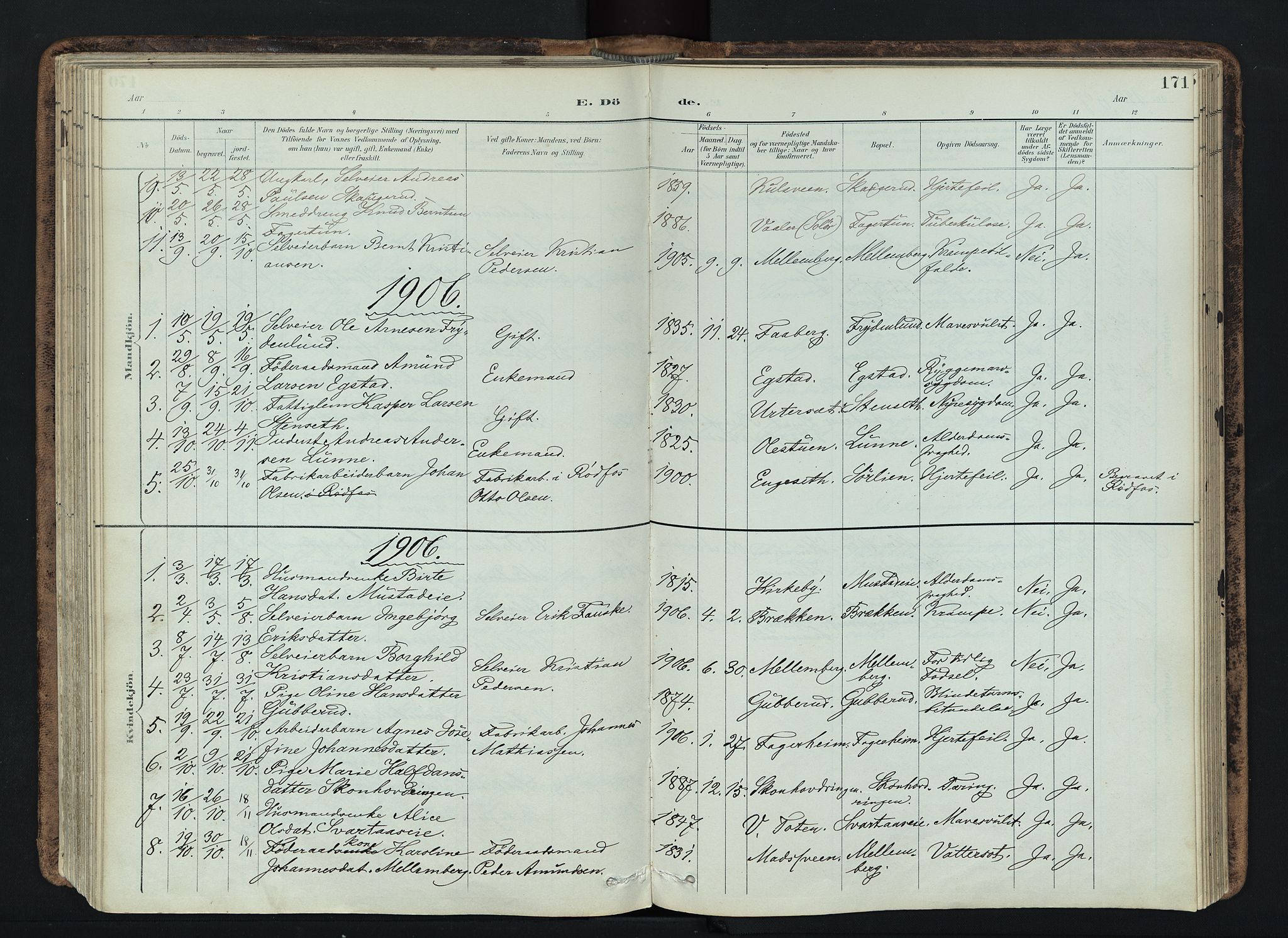 Vardal prestekontor, SAH/PREST-100/H/Ha/Haa/L0019: Parish register (official) no. 19, 1893-1907, p. 171