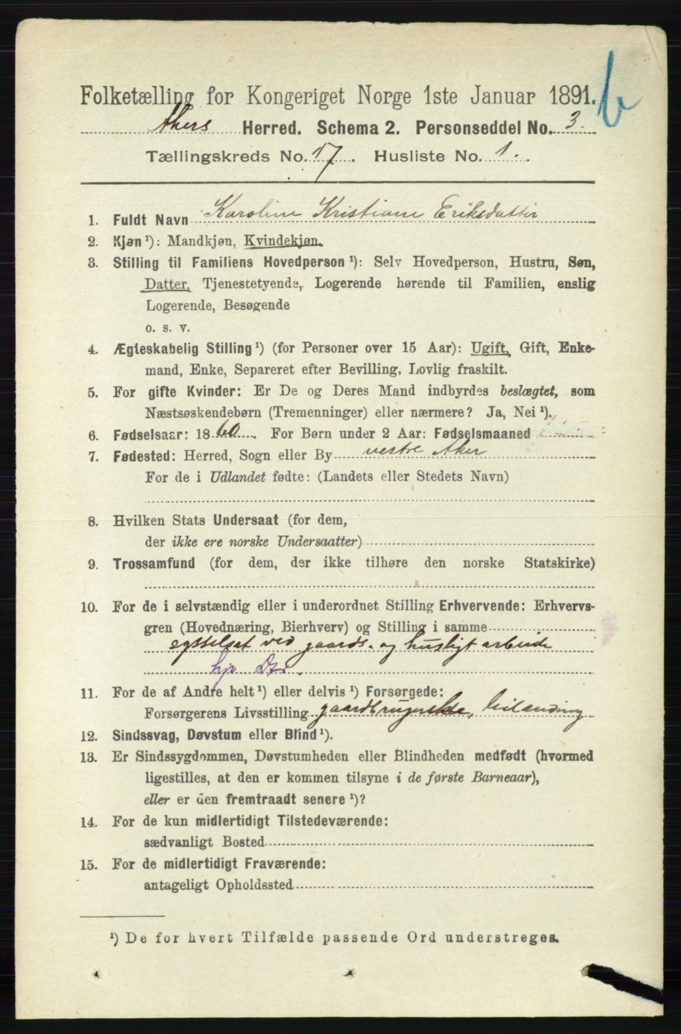 RA, 1891 census for 0218 Aker, 1891, p. 15851