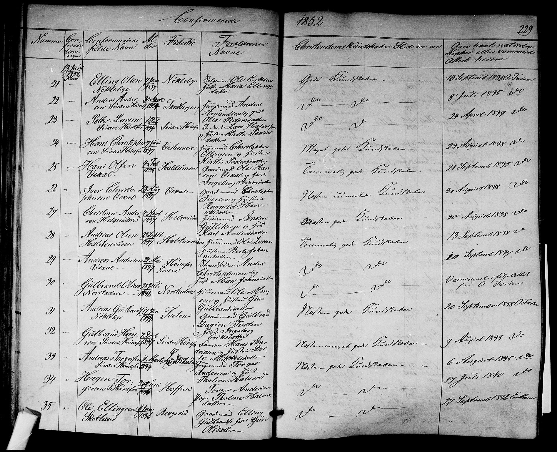 Norderhov kirkebøker, AV/SAKO-A-237/F/Fa/L0011: Parish register (official) no. 11, 1847-1856, p. 229