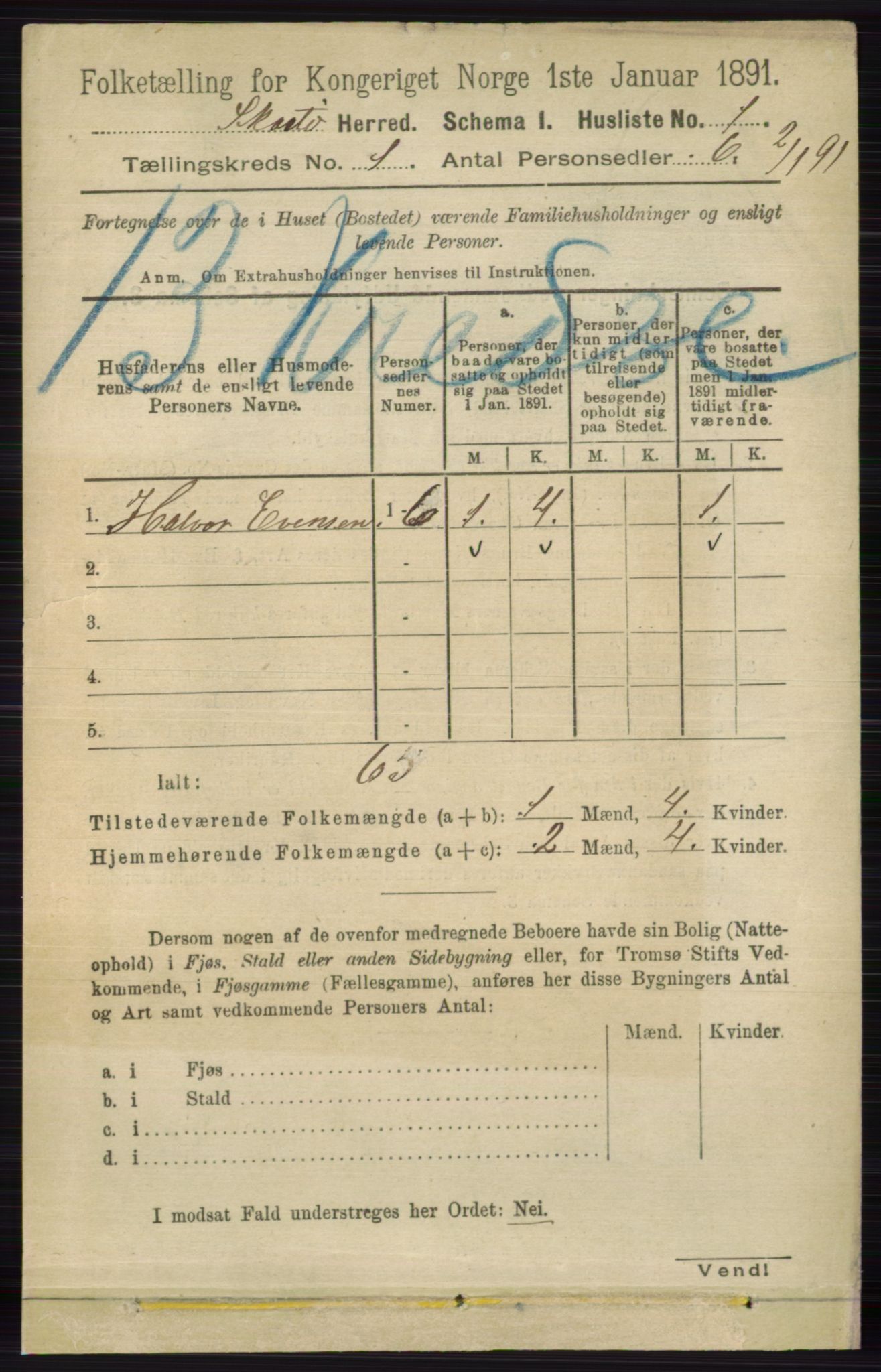 RA, 1891 census for 0815 Skåtøy, 1891, p. 40