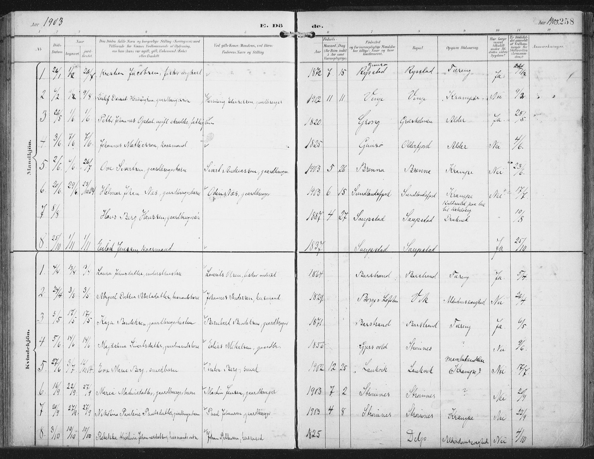 Ministerialprotokoller, klokkerbøker og fødselsregistre - Nordland, AV/SAT-A-1459/876/L1098: Parish register (official) no. 876A04, 1896-1915, p. 258