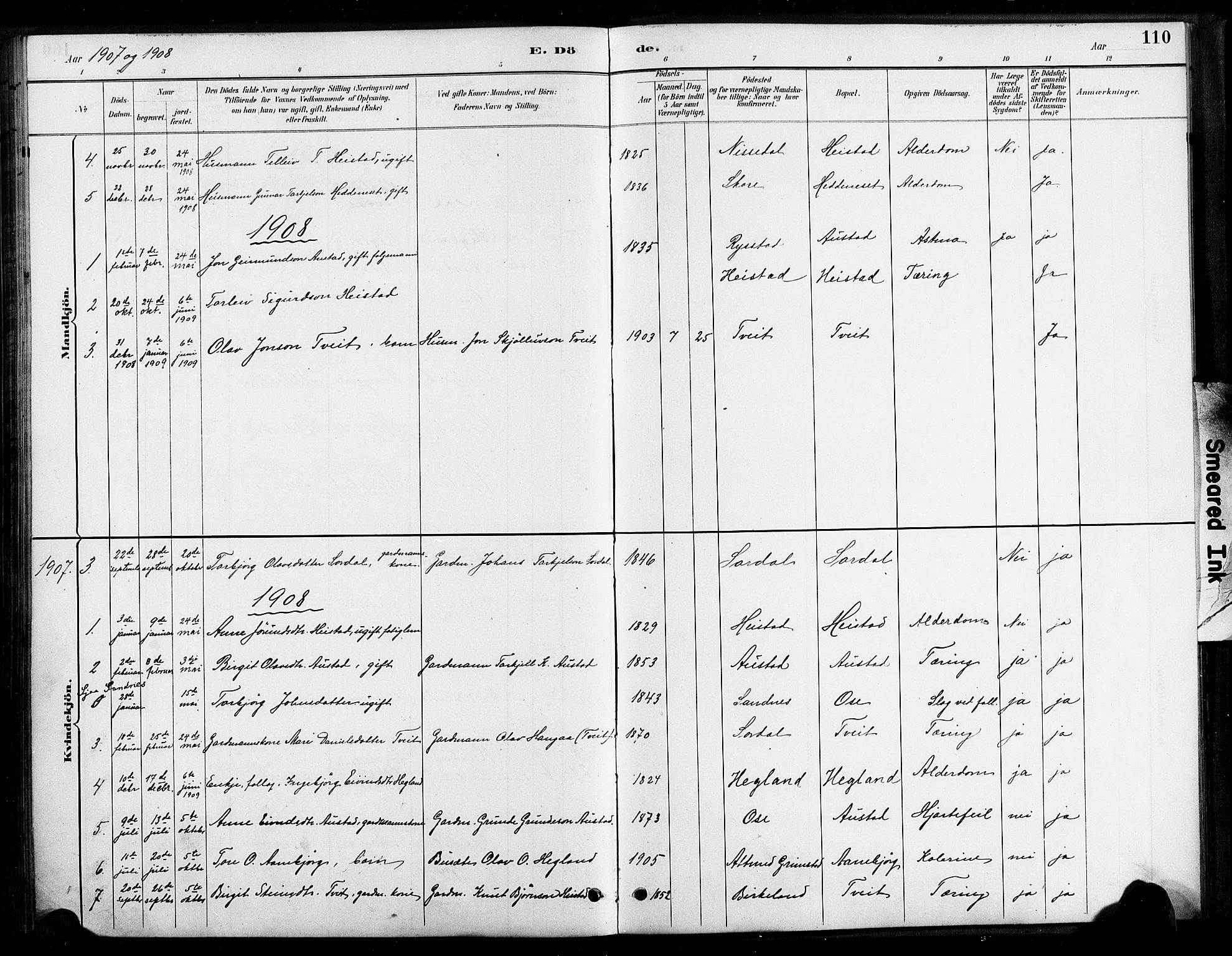Bygland sokneprestkontor, SAK/1111-0006/F/Fa/Faa/L0001: Parish register (official) no. A 1, 1885-1908, p. 110