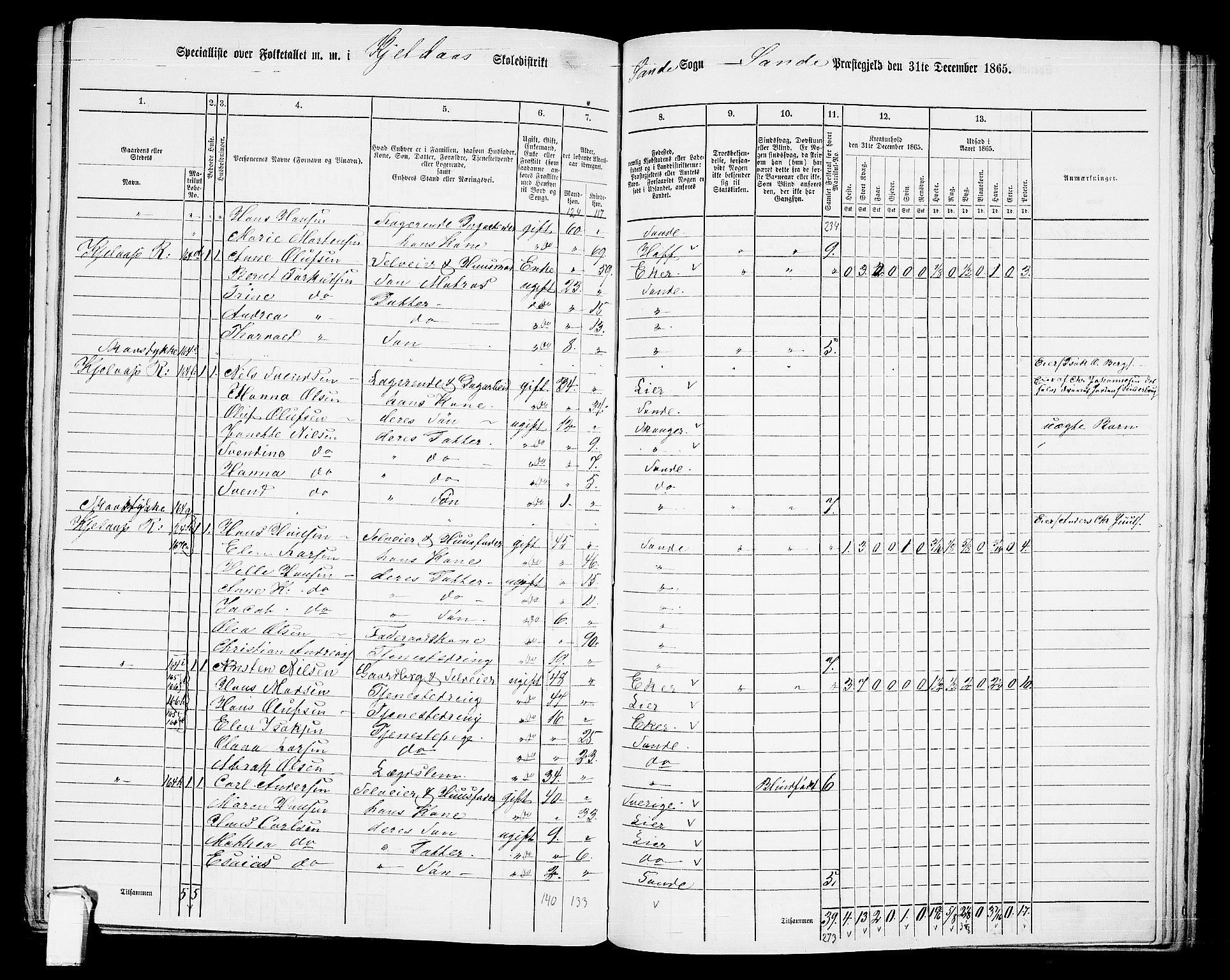 RA, 1865 census for Sande, 1865, p. 95