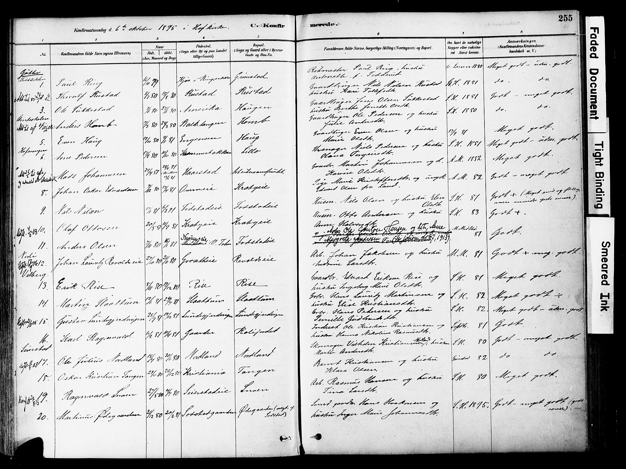 Østre Toten prestekontor, SAH/PREST-104/H/Ha/Haa/L0006: Parish register (official) no. 6 /1, 1878-1896, p. 255