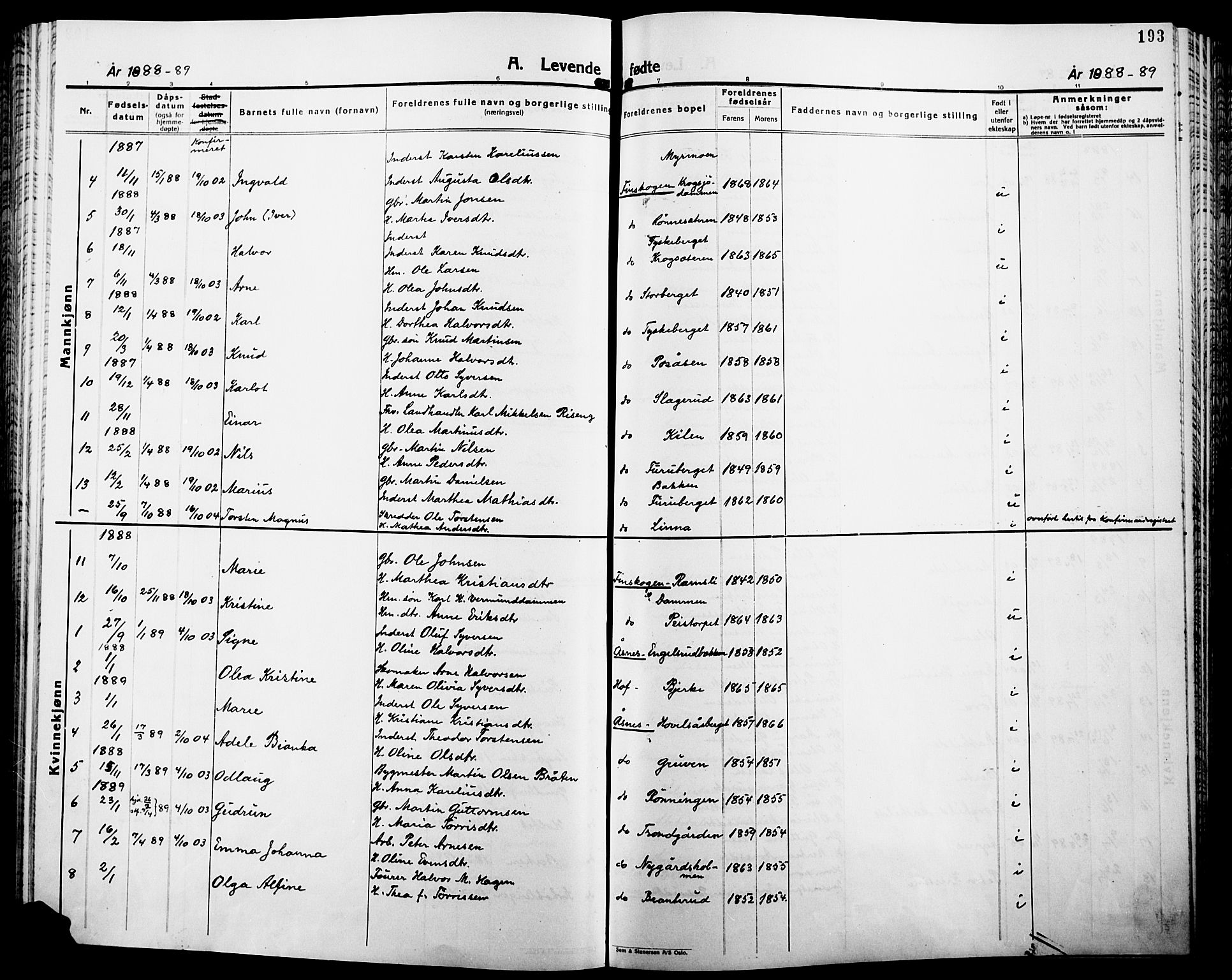 Åsnes prestekontor, SAH/PREST-042/H/Ha/Haa/L0000B: Parish register (official), 1870-1889, p. 193