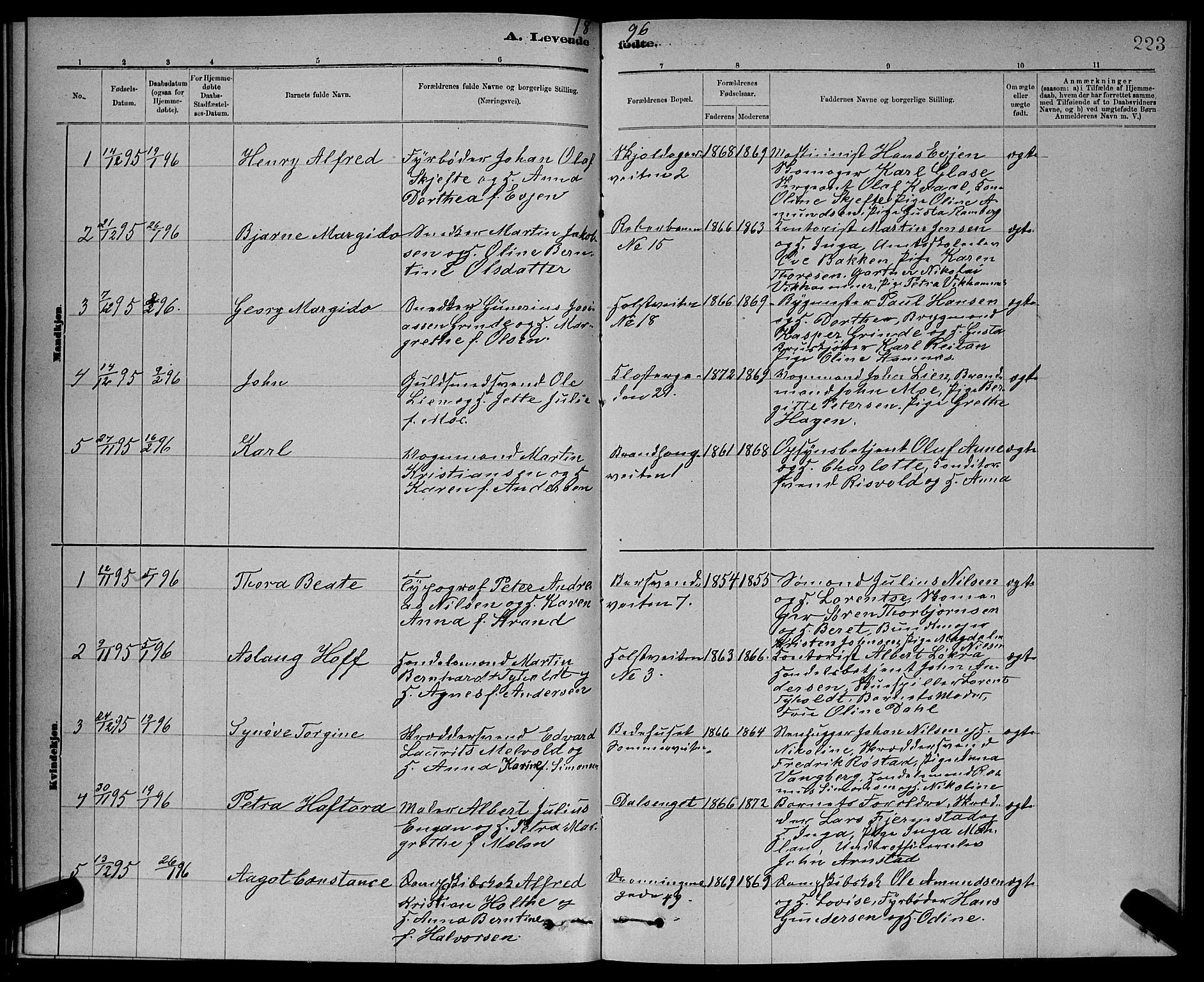 Ministerialprotokoller, klokkerbøker og fødselsregistre - Sør-Trøndelag, AV/SAT-A-1456/601/L0092: Parish register (copy) no. 601C10, 1884-1897, p. 223