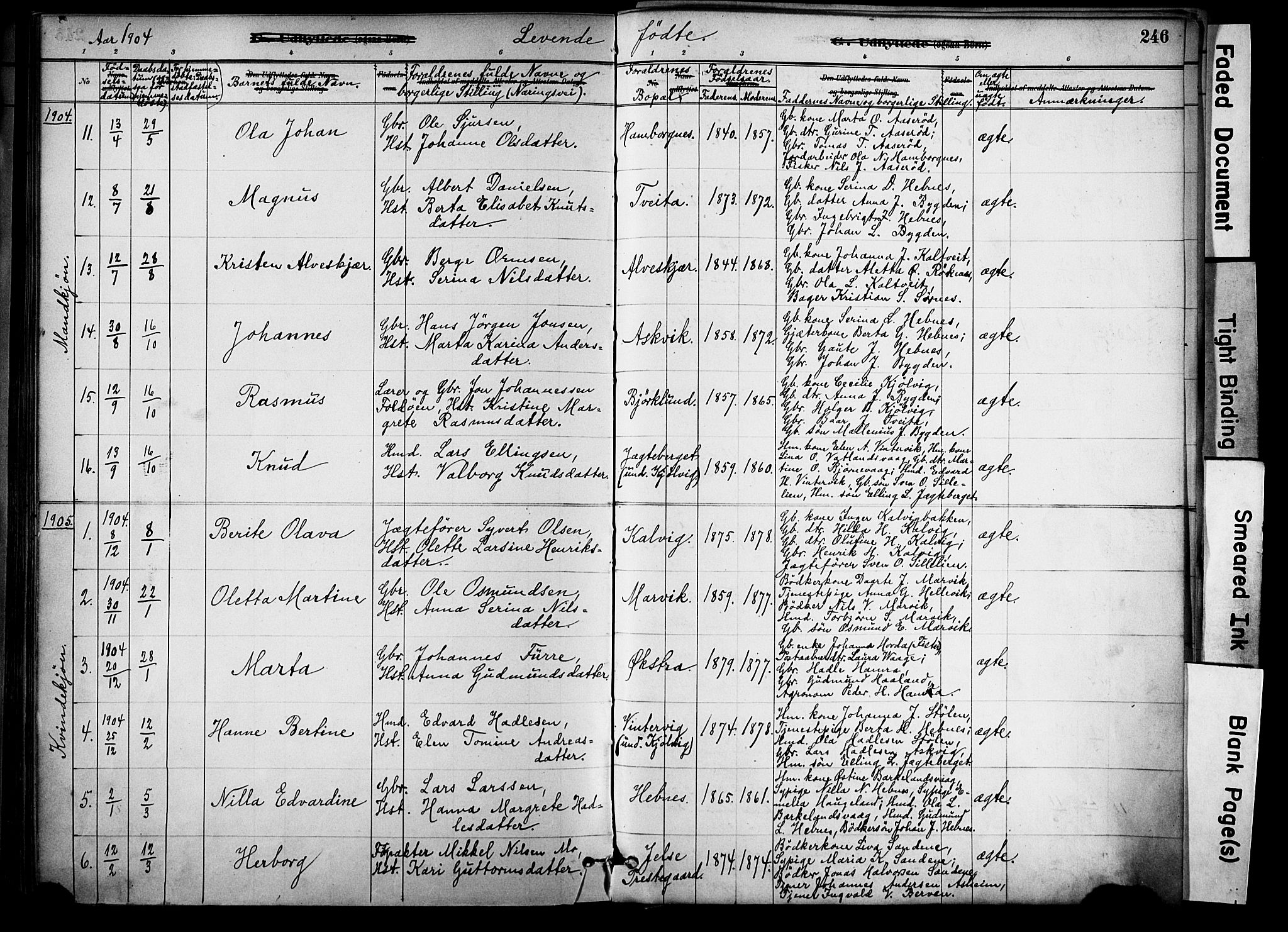 Jelsa sokneprestkontor, SAST/A-101842/01/IV: Parish register (official) no. A 10, 1884-1906, p. 246