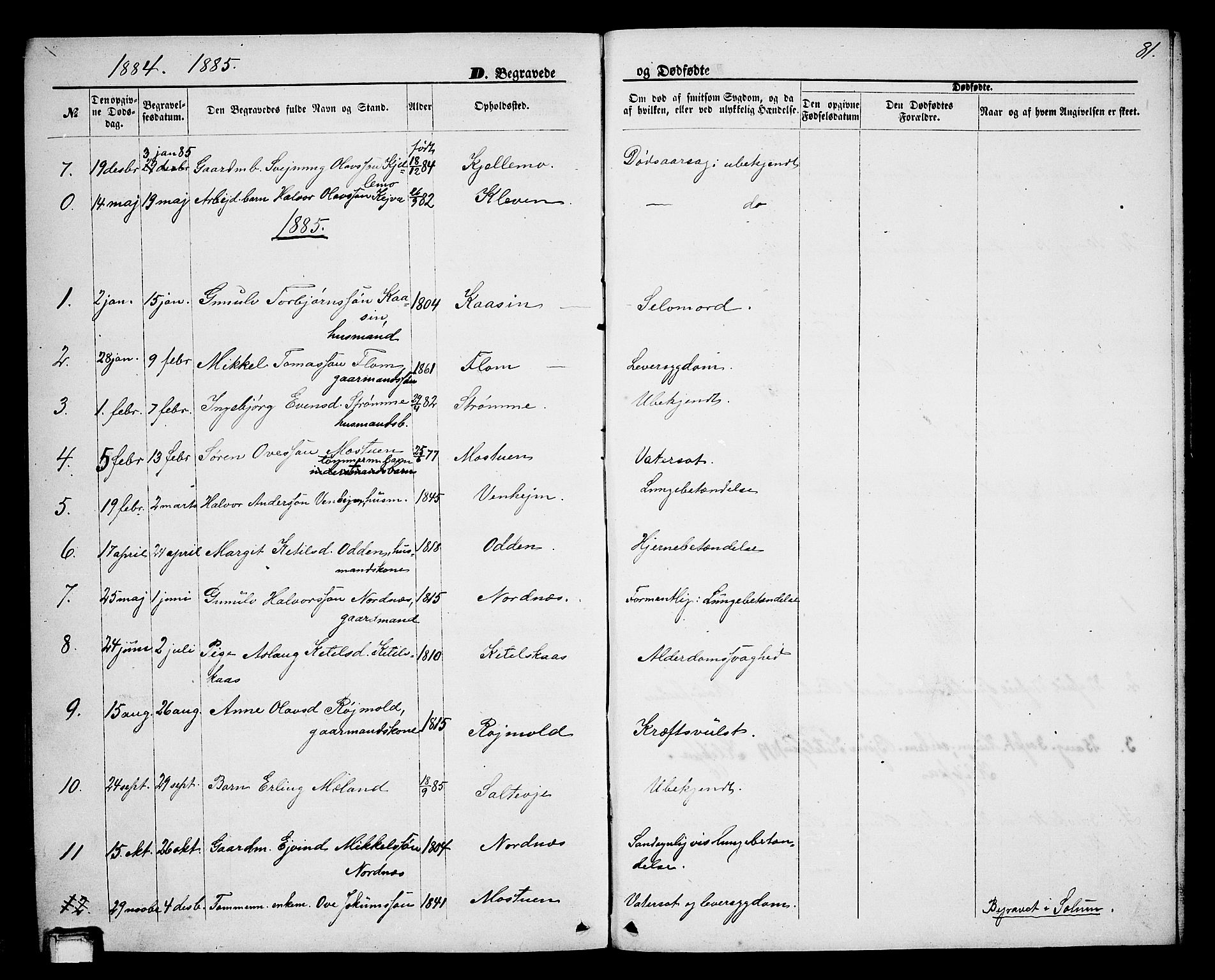 Lunde kirkebøker, AV/SAKO-A-282/G/Gb/L0001: Parish register (copy) no. II 1, 1866-1887, p. 81