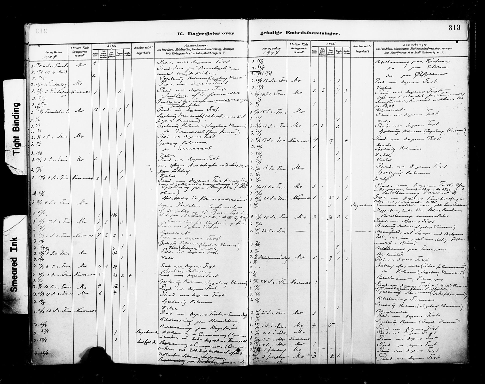 Ministerialprotokoller, klokkerbøker og fødselsregistre - Nordland, AV/SAT-A-1459/827/L0401: Parish register (official) no. 827A13, 1887-1905, p. 313