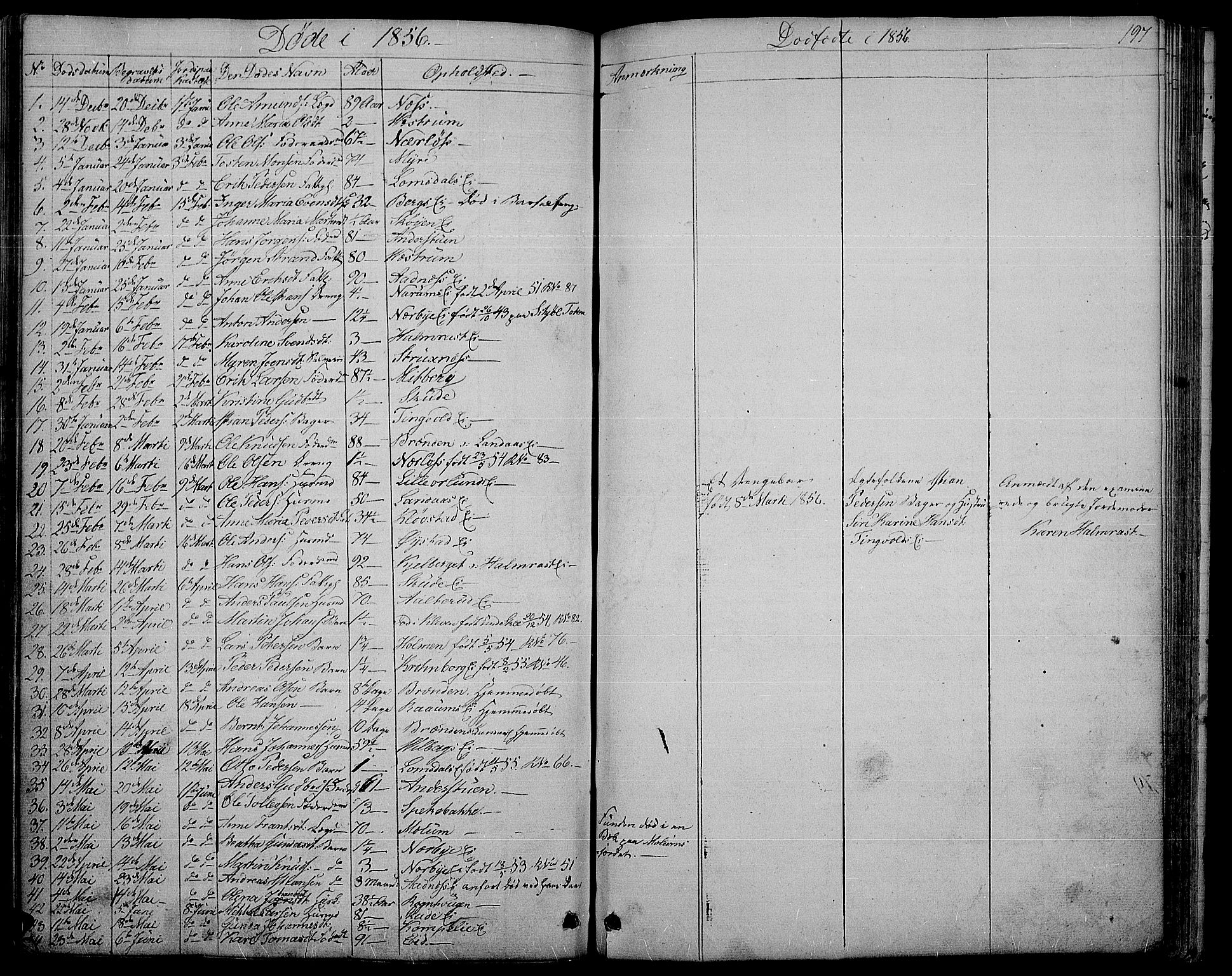 Søndre Land prestekontor, AV/SAH-PREST-122/L/L0001: Parish register (copy) no. 1, 1849-1883, p. 197