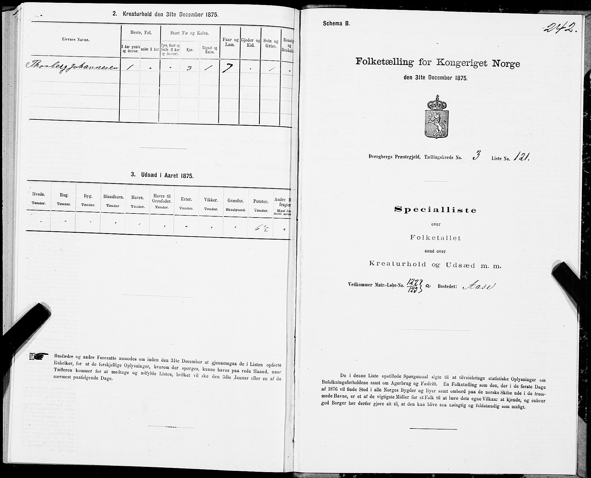 SAT, 1875 census for 1872P Dverberg, 1875, p. 2242