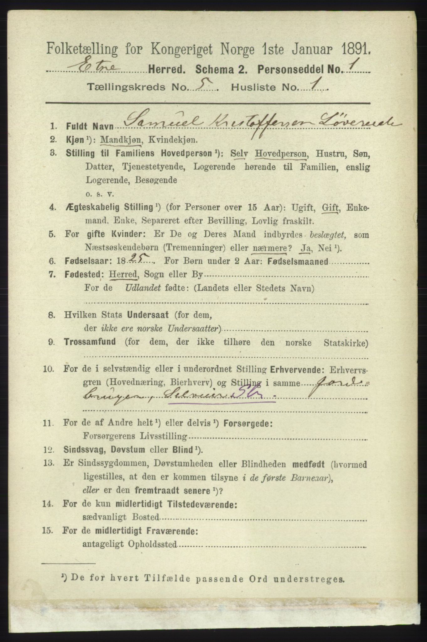 RA, 1891 census for 1211 Etne, 1891, p. 1019