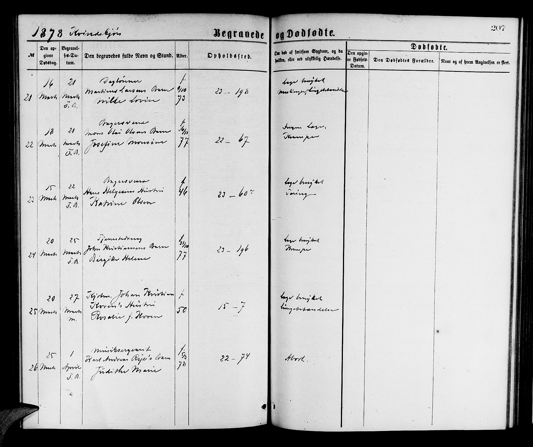 Korskirken sokneprestembete, AV/SAB-A-76101/H/Hab: Parish register (copy) no. E 3, 1871-1883, p. 207