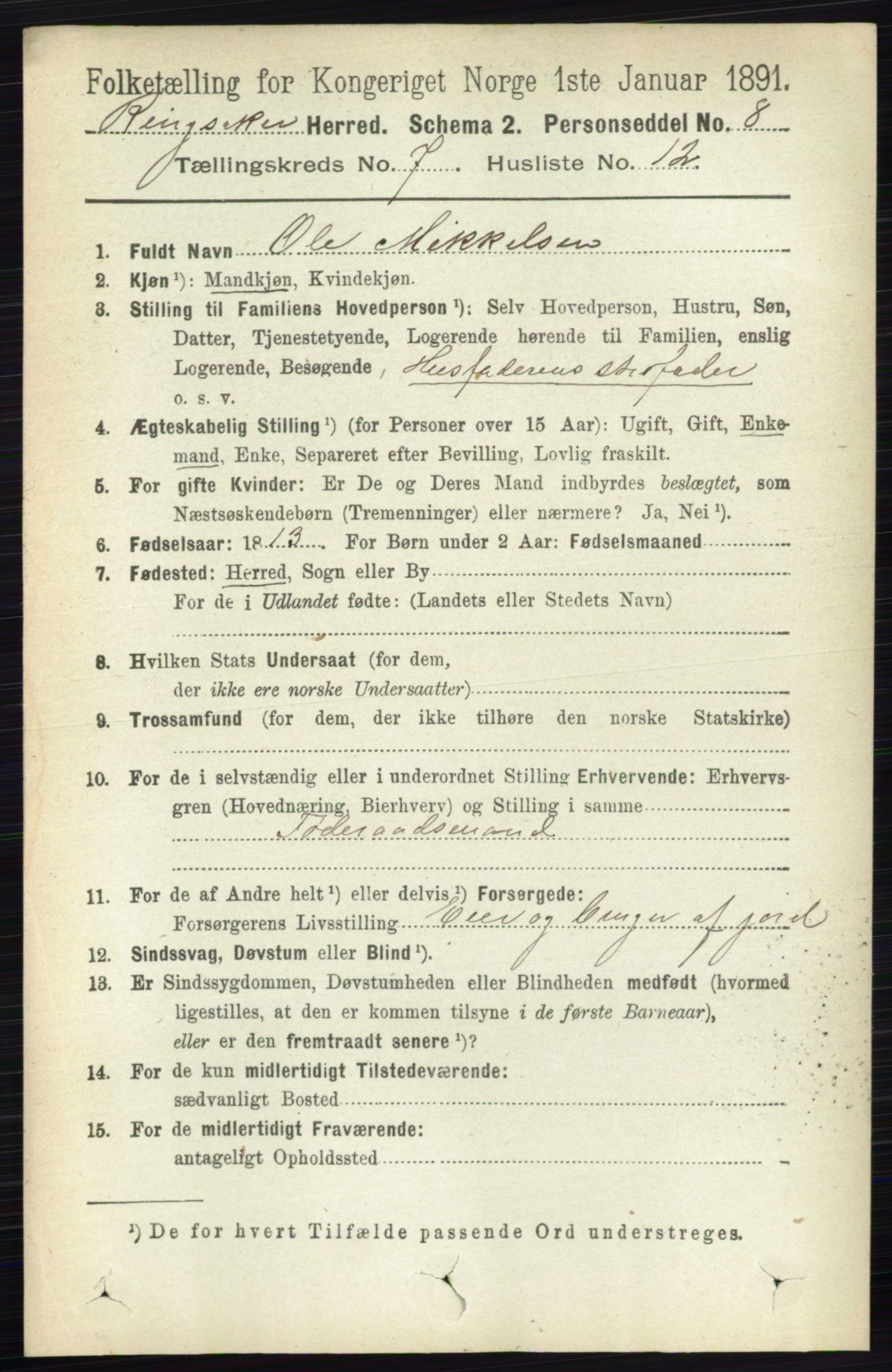 RA, 1891 census for 0412 Ringsaker, 1891, p. 3955