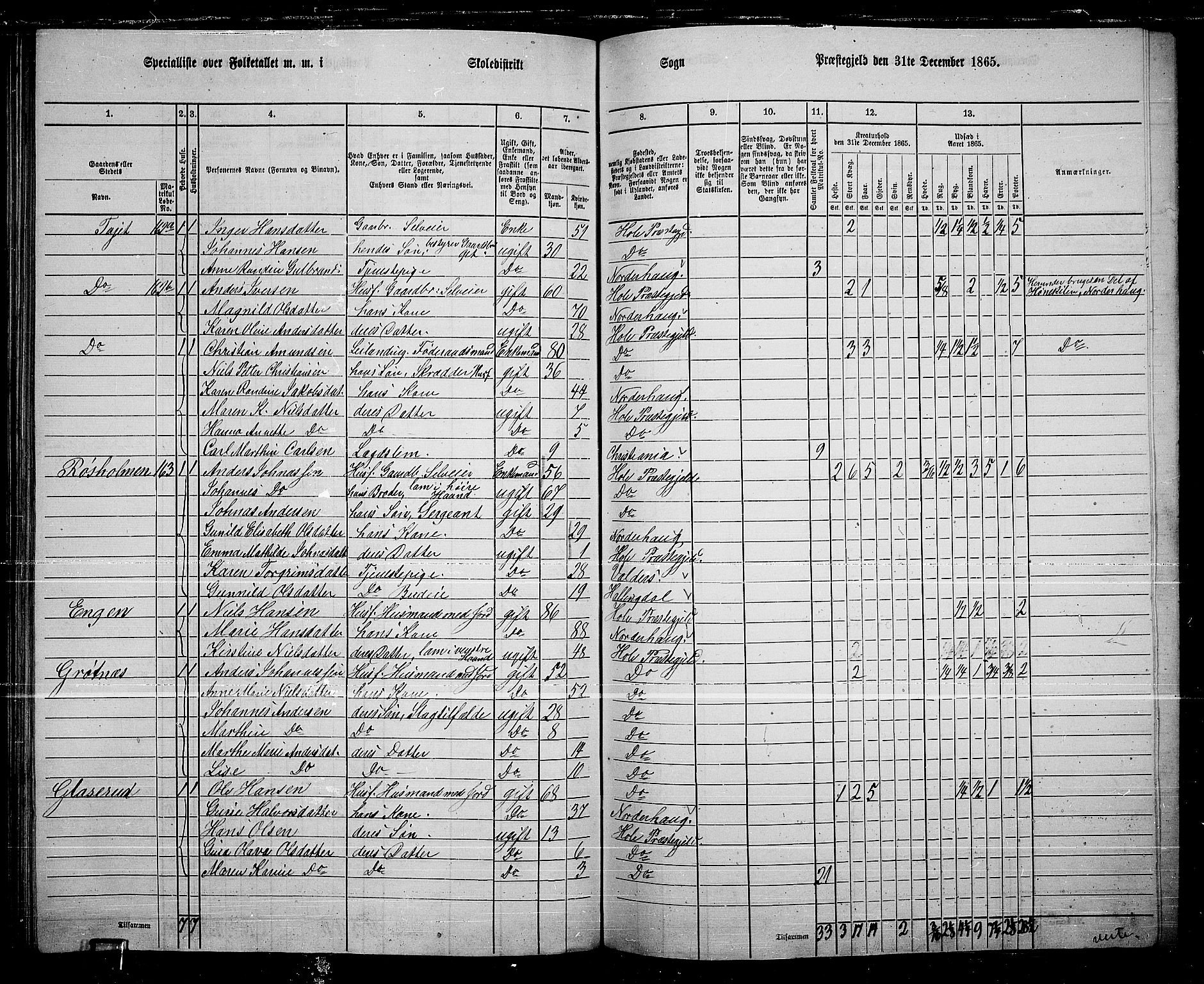 RA, 1865 census for Hole, 1865, p. 117