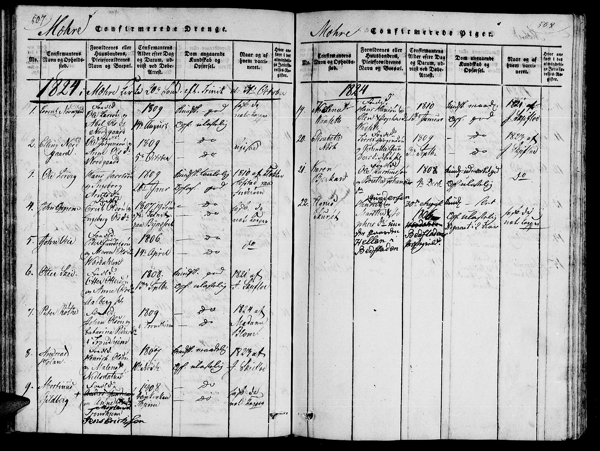 Ministerialprotokoller, klokkerbøker og fødselsregistre - Nord-Trøndelag, AV/SAT-A-1458/735/L0333: Parish register (official) no. 735A04 /1, 1816-1824, p. 507-508