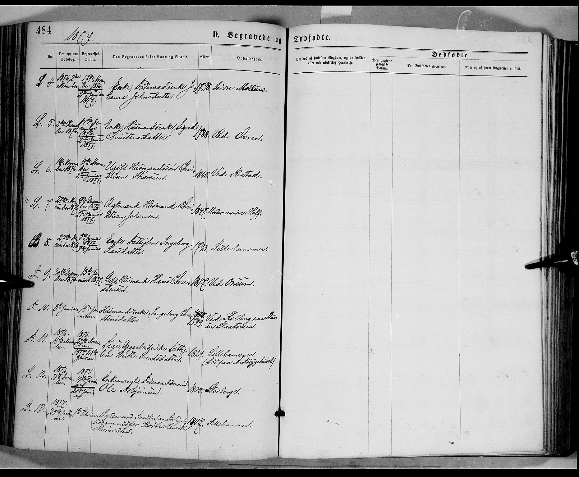 Fåberg prestekontor, SAH/PREST-086/H/Ha/Haa/L0007: Parish register (official) no. 7, 1868-1878, p. 484
