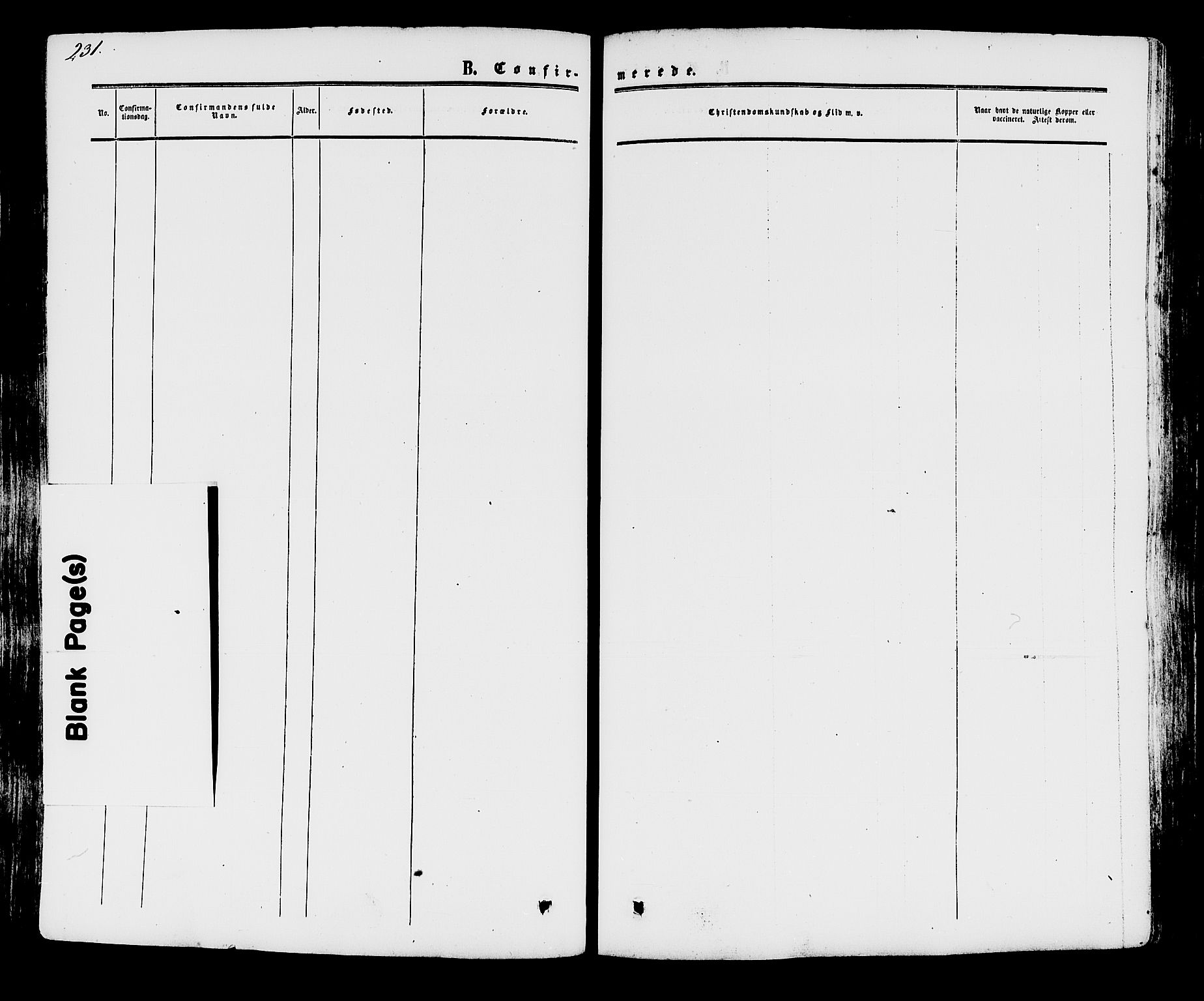 Råde prestekontor kirkebøker, AV/SAO-A-2009/F/Fa/L0006: Parish register (official) no. 6, 1854-1877, p. 231